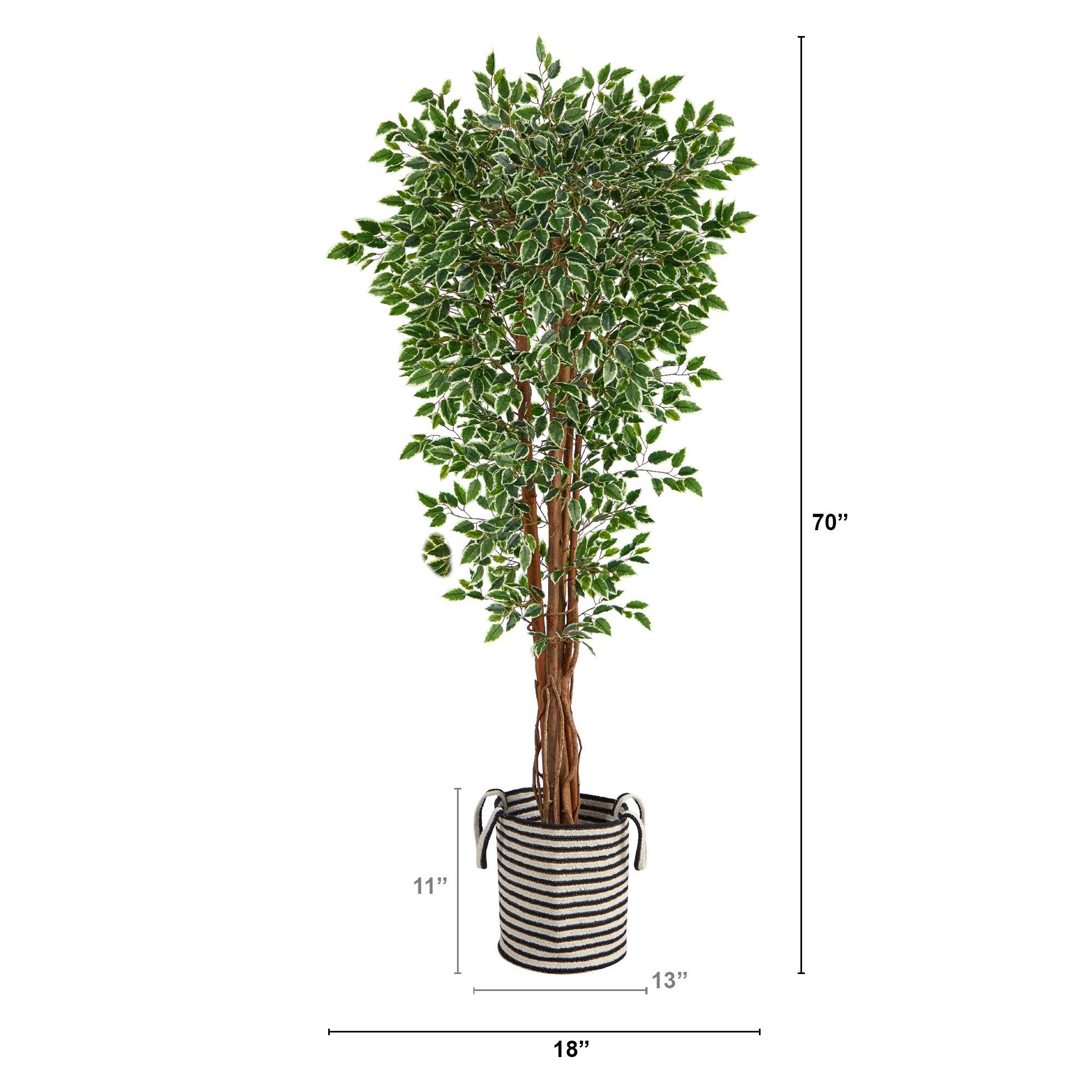 70” Variegated Ficus Tree in Handmade Black and White Natural Jute and Cotton Planter UV Resistant - Image 2