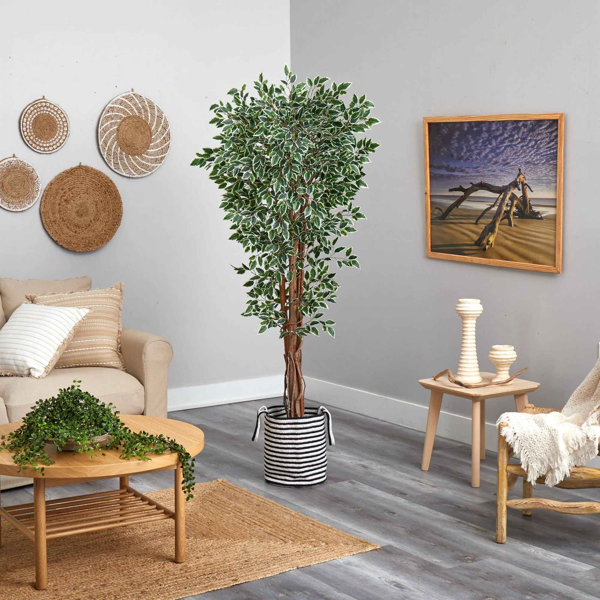 70” Variegated Ficus Tree in Handmade Black and White Natural Jute and Cotton Planter UV Resistant - Image 4