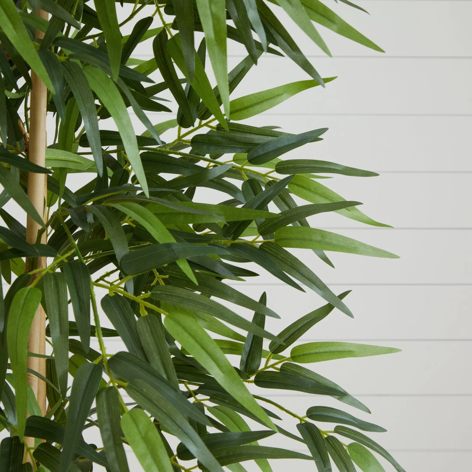 75" Bamboo Silk Tree" - Image 2
