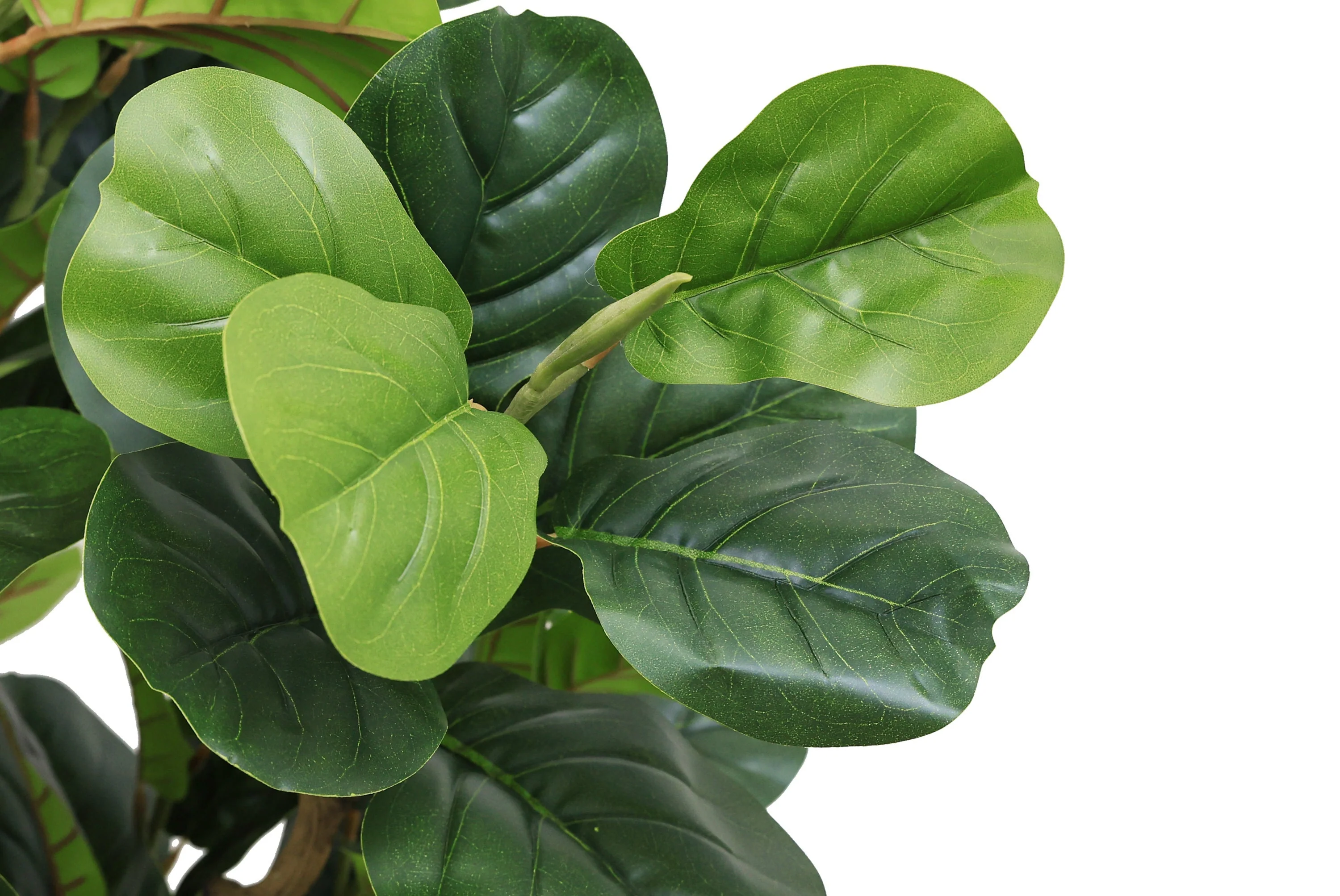 7FT Tall Artificial Banyan Tree Silk Plant – Large Faux Greenery - Image 6
