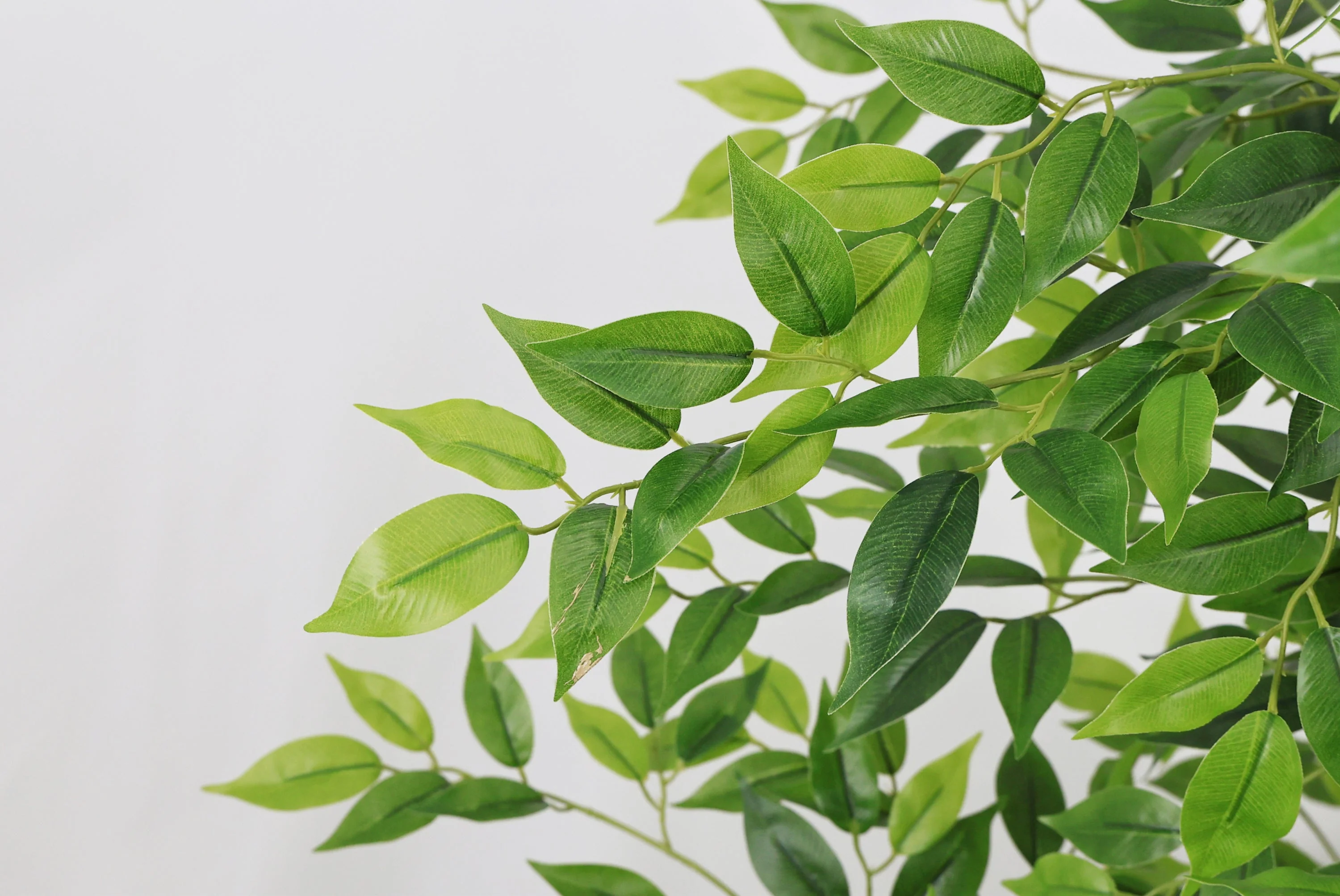 7FT Tall Artificial Banyan Tree with Natural Trunk and Realistic Silk Leaves - Image 6