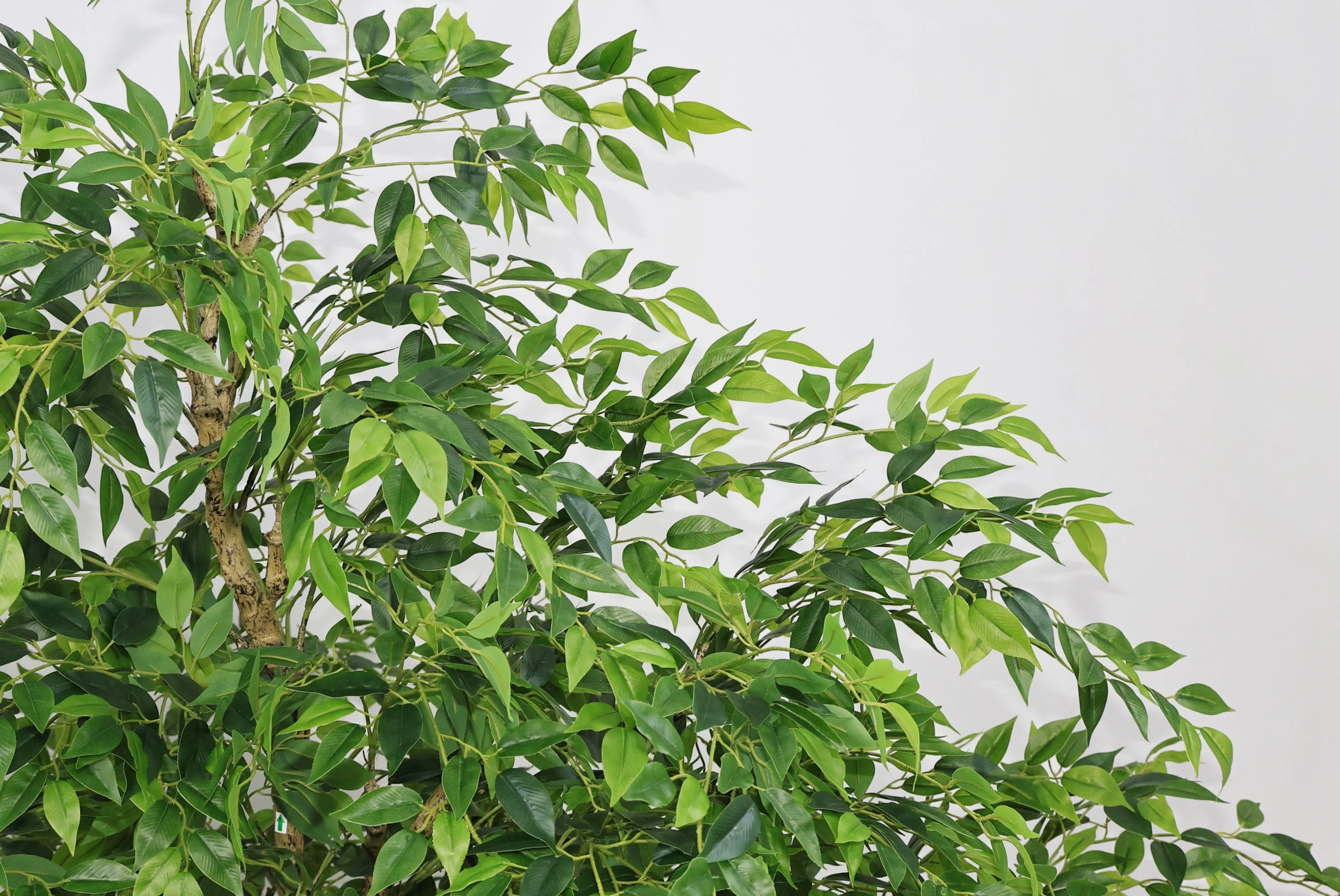 7FT Tall Artificial Banyan Tree with Natural Trunk and Realistic Silk Leaves - Image 7