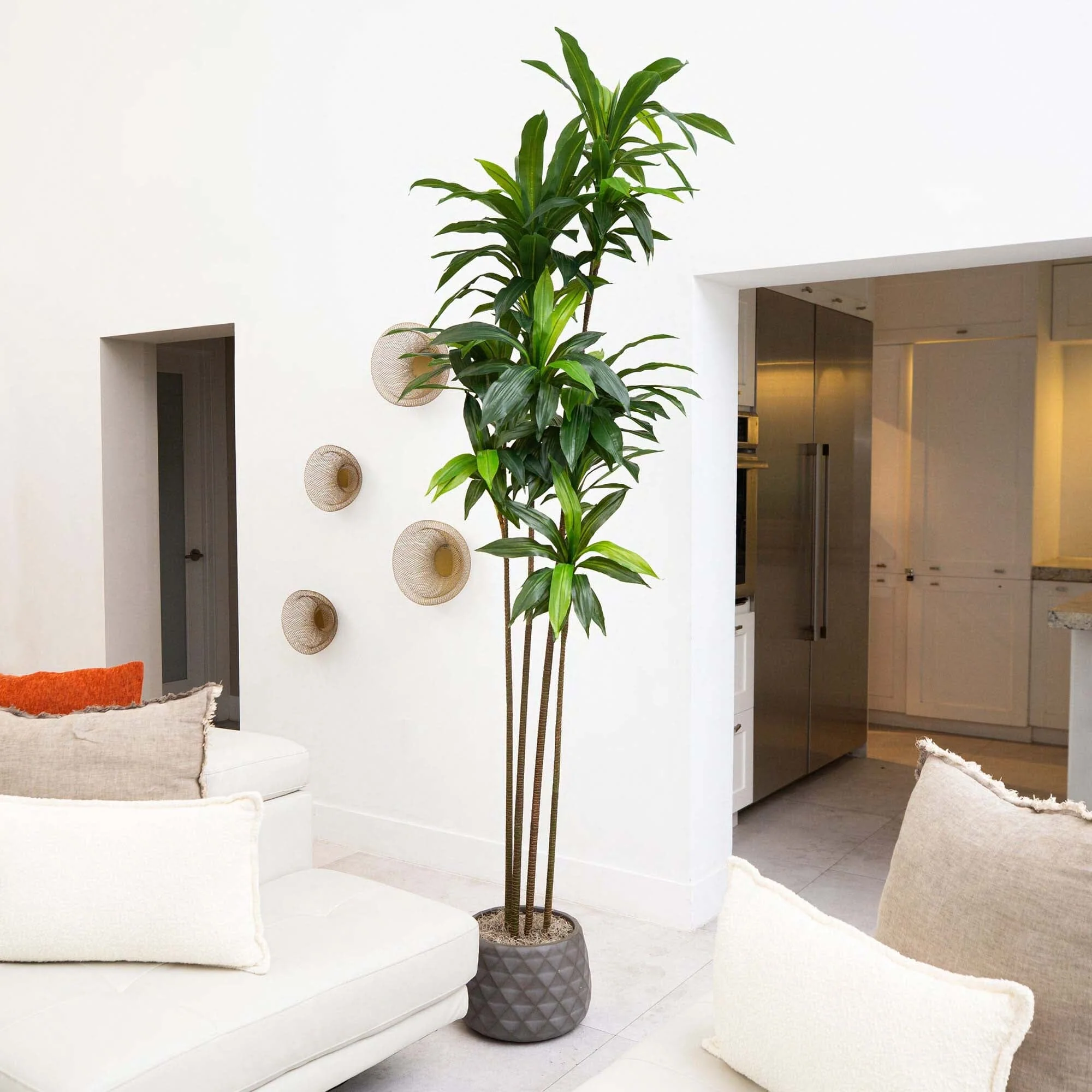 8’ Artificial Dracaena Tree with Real Touch Leaves - Image 3