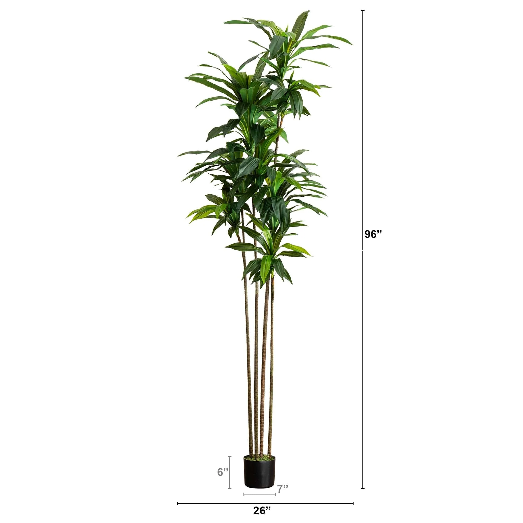 8’ Artificial Dracaena Tree with Real Touch Leaves - Image 4