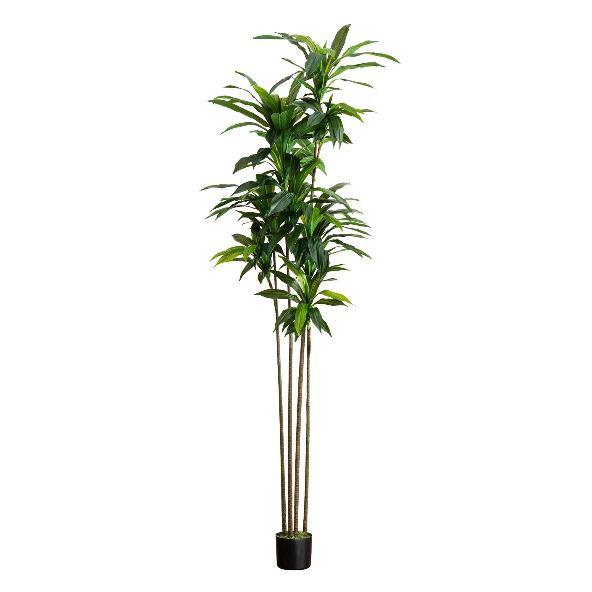 8’ Artificial Dracaena Tree with Real Touch Leaves - Image 5