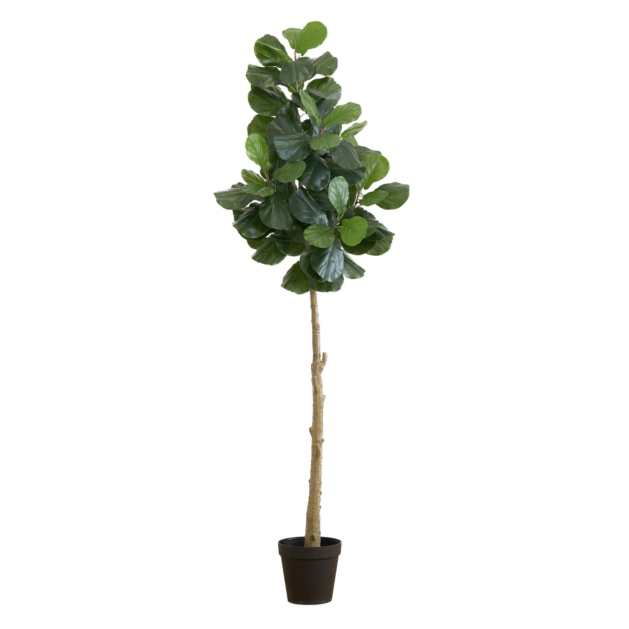 8’ Artificial Fiddle Leaf Fig Tree - Image 5
