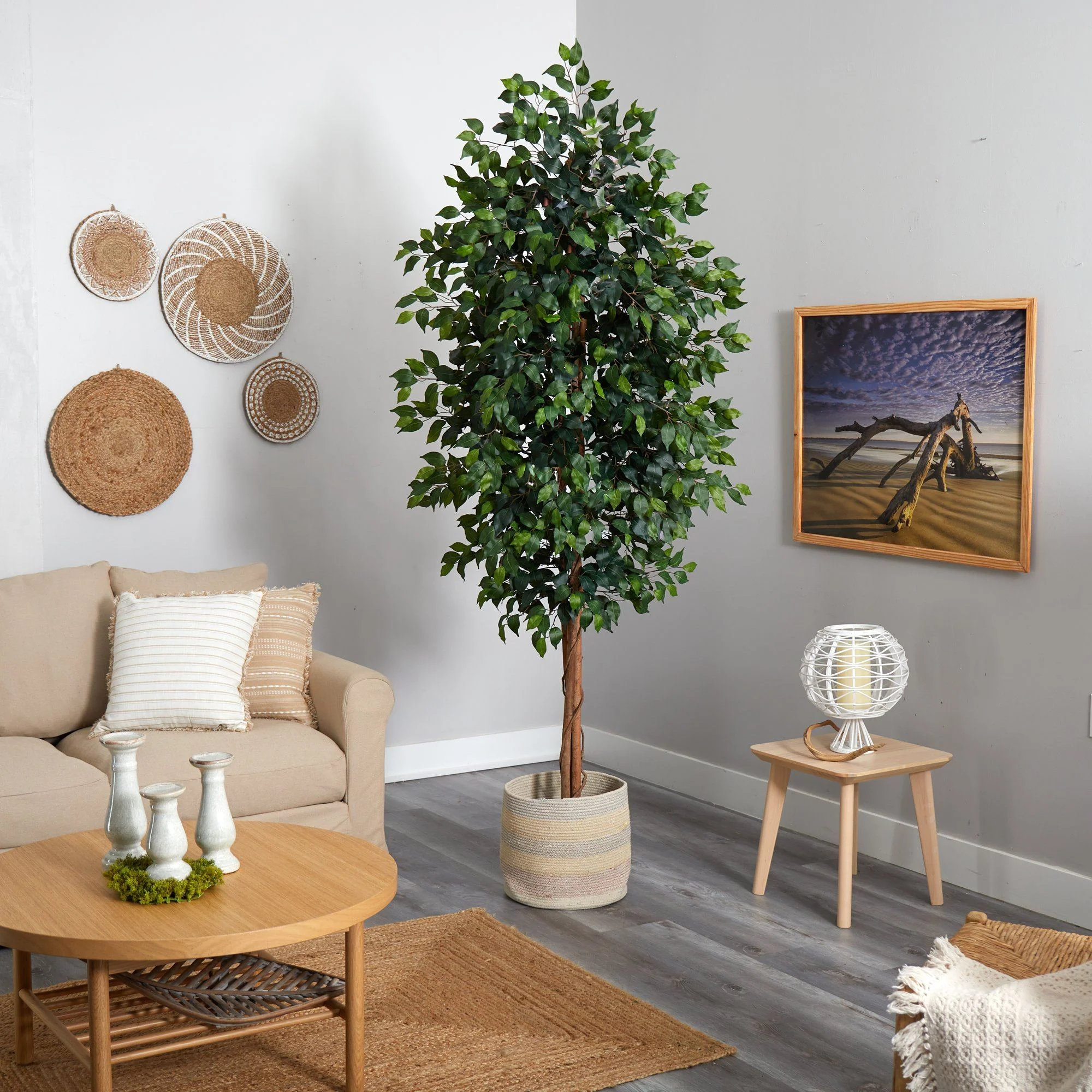 8’ Ficus Artificial Tree with Handmade Natural Cotton Multicolored Woven Planter - Image 4