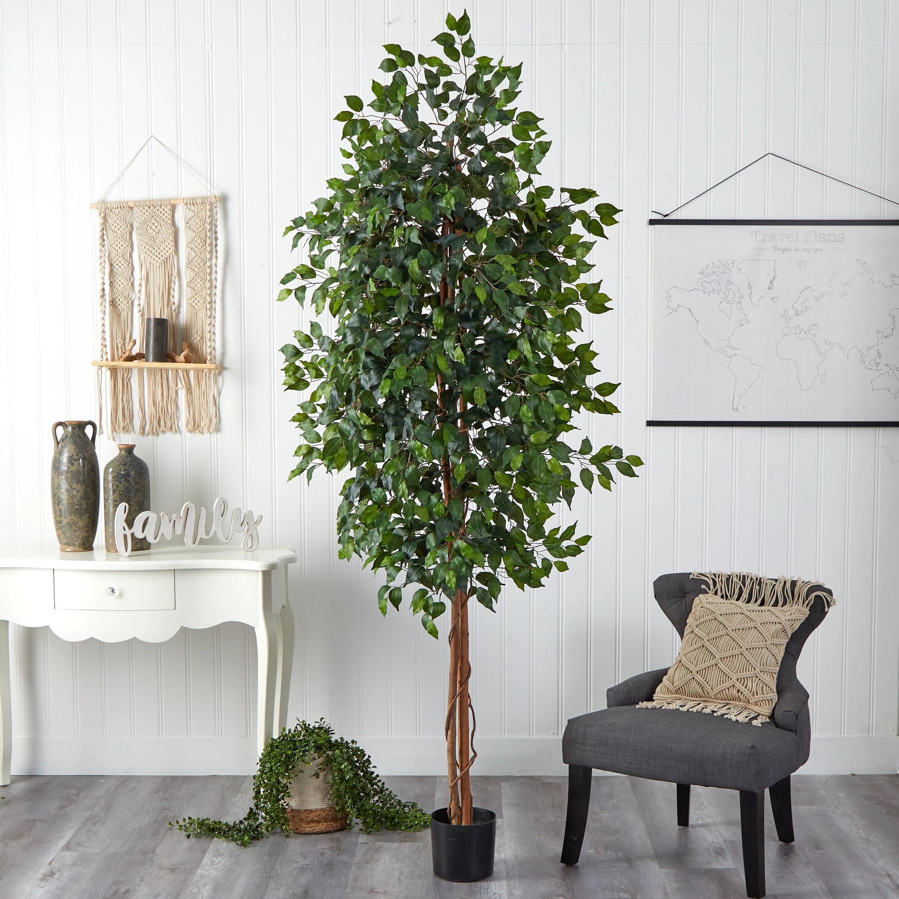 8’ Ficus Tree w/1512 Lvs - Image 3