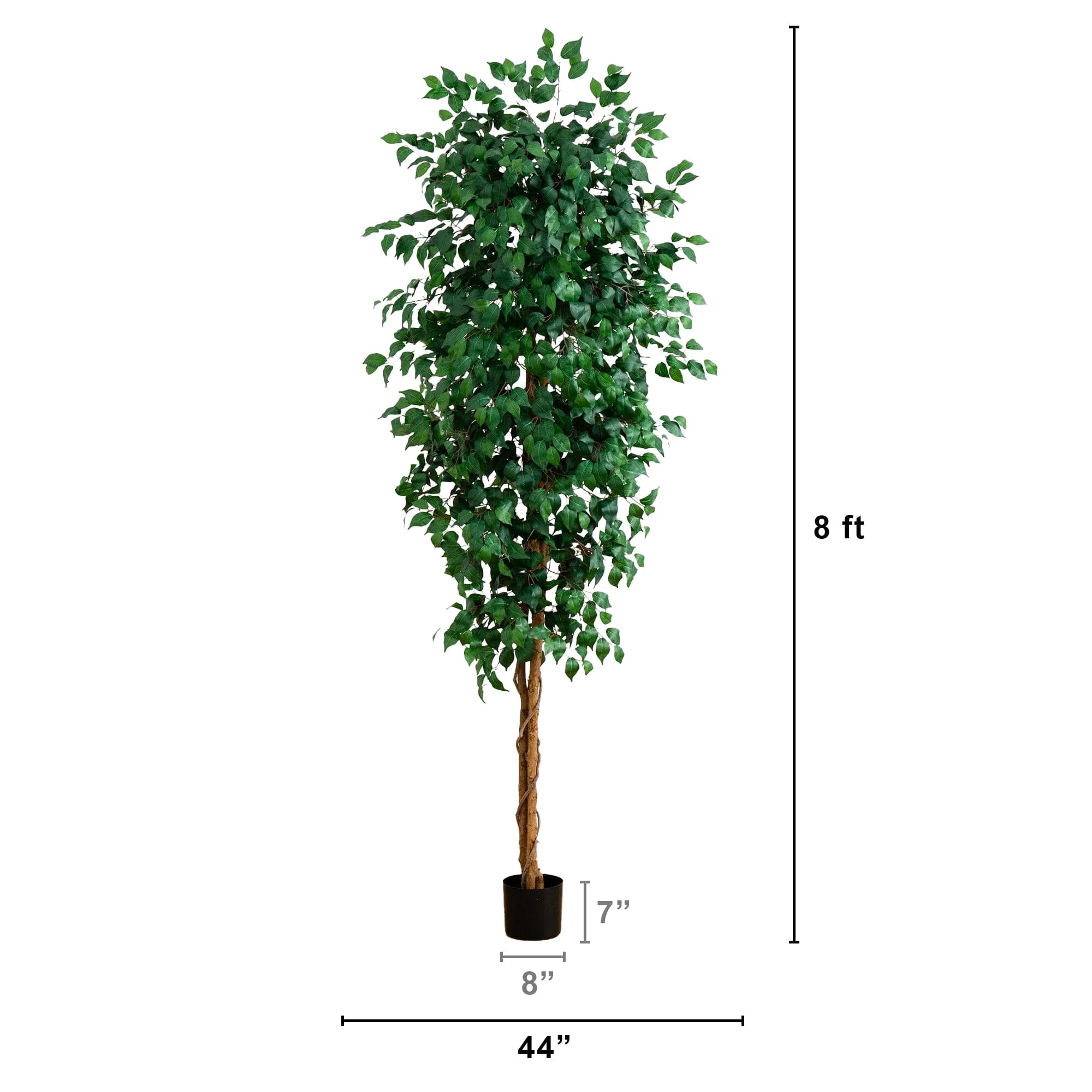 8’ Ficus Tree w/1512 Lvs - Image 5
