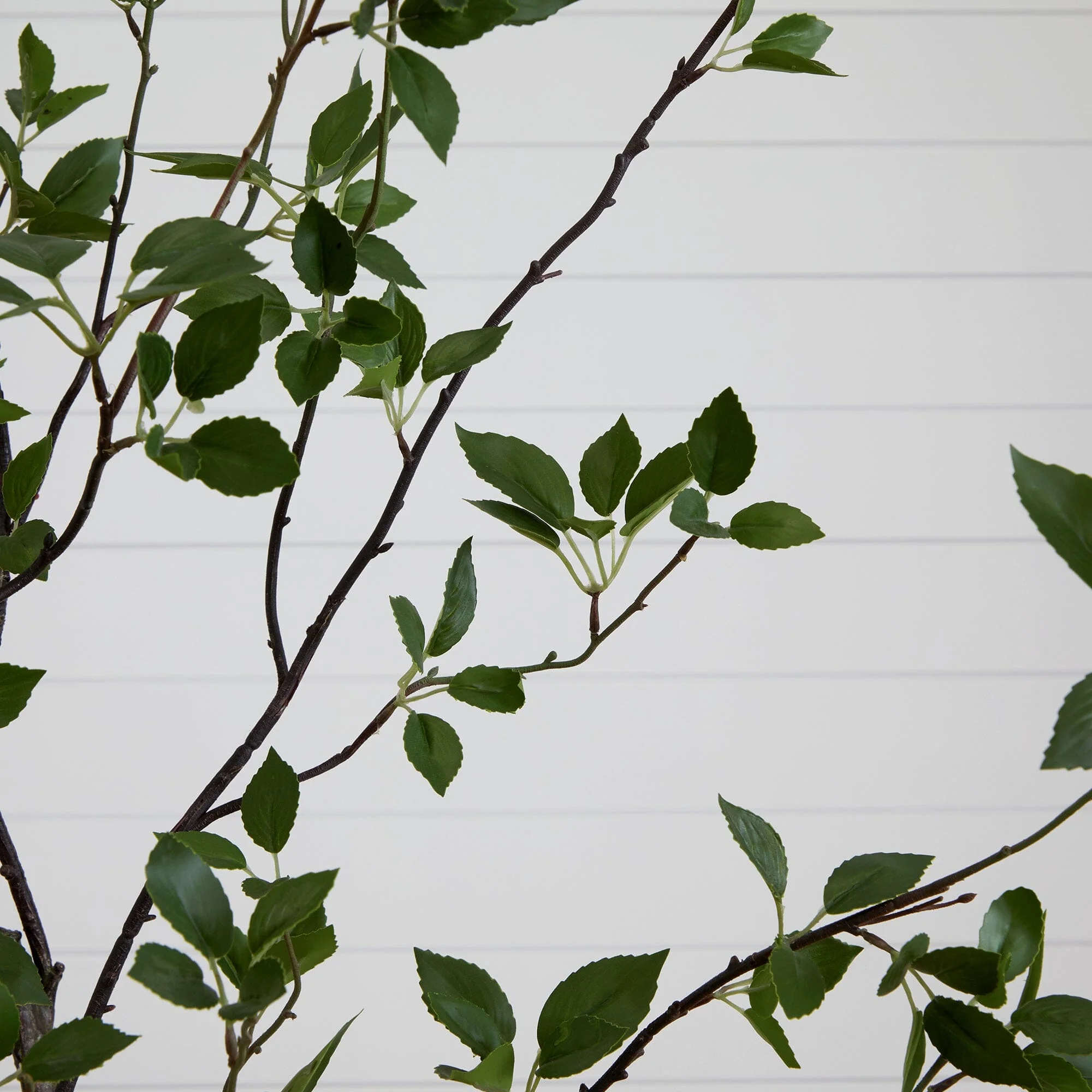 8' Minimalist Citrus Artificial Tree - Image 2