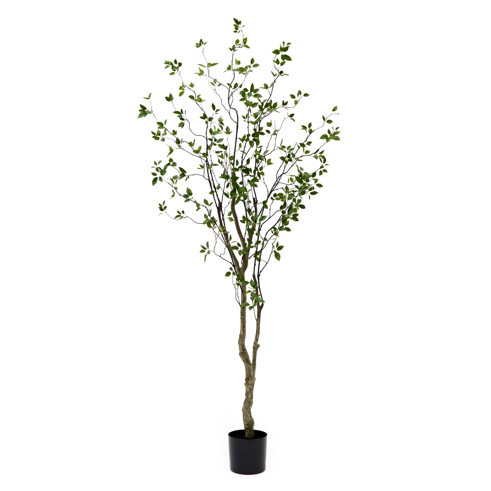 8' Minimalist Citrus Artificial Tree - Image 6