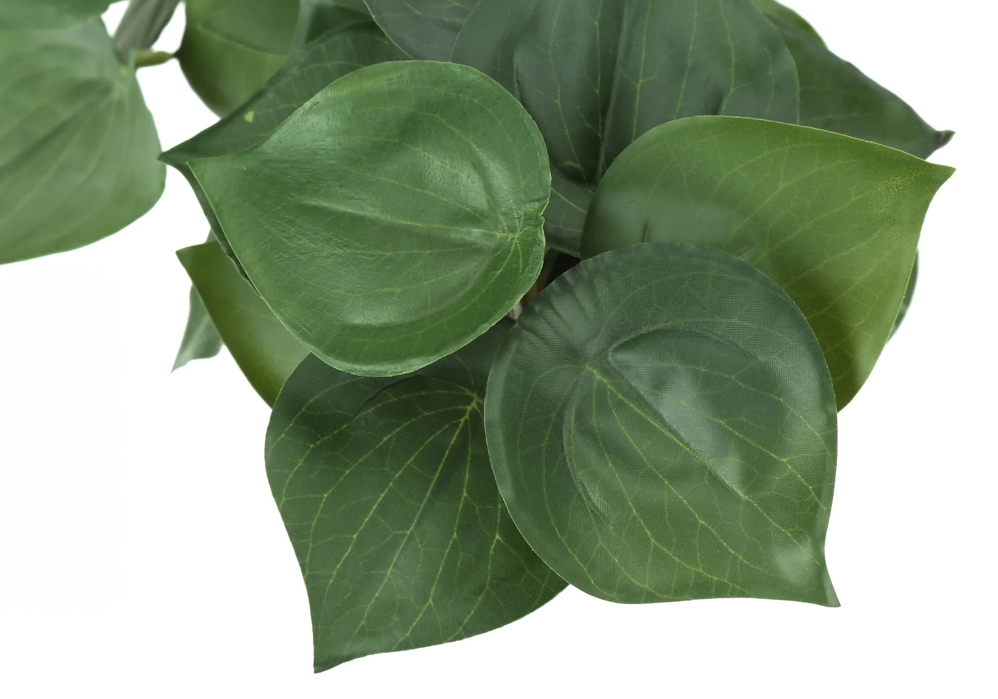8" Tall, Artificial Plant, Alocasia, Indoor, Faux, Fake, Table, Greenery, Potted, Decorative (Set of 2) - Green / White - Image 3