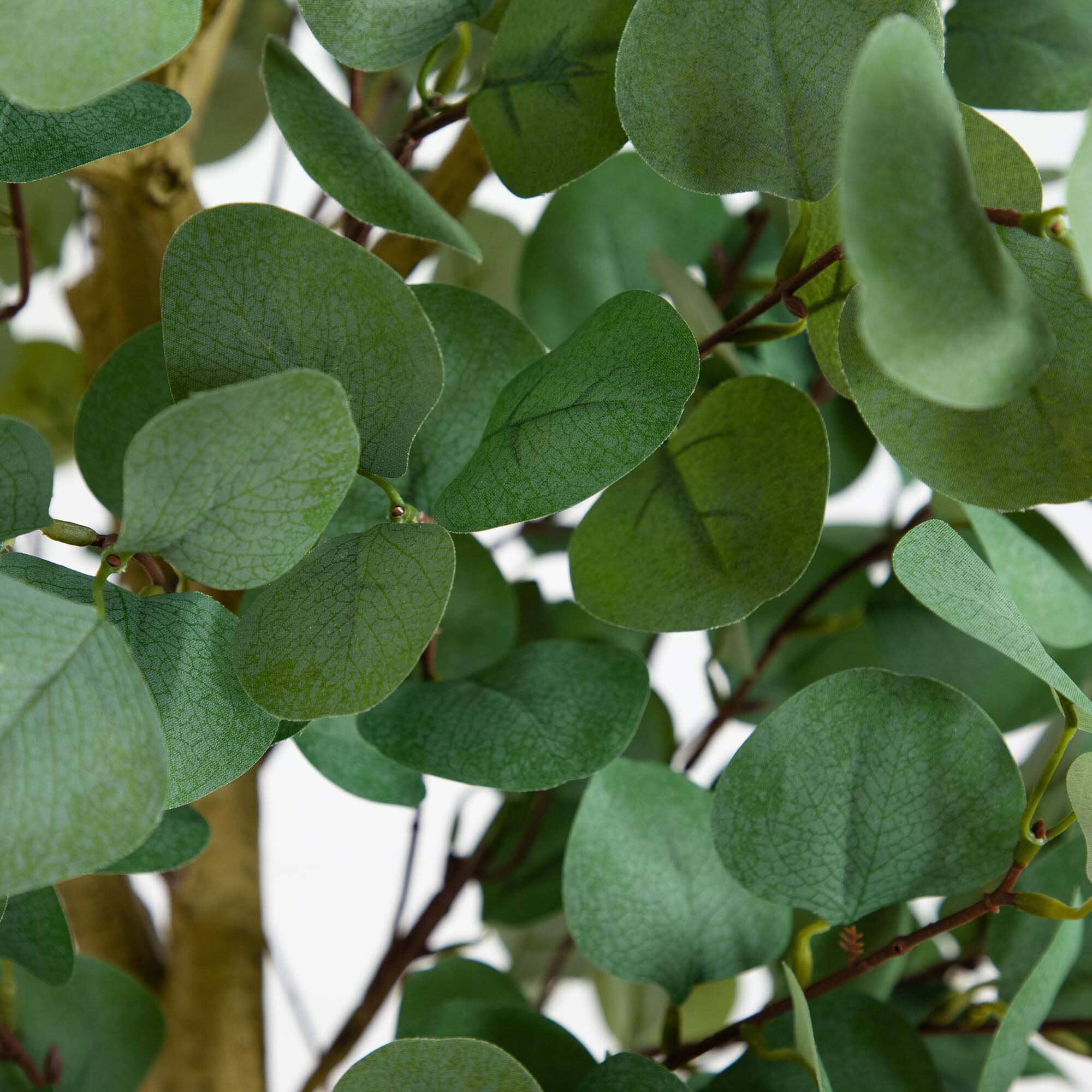 9’ Artificial Eucalyptus Tree - Image 2