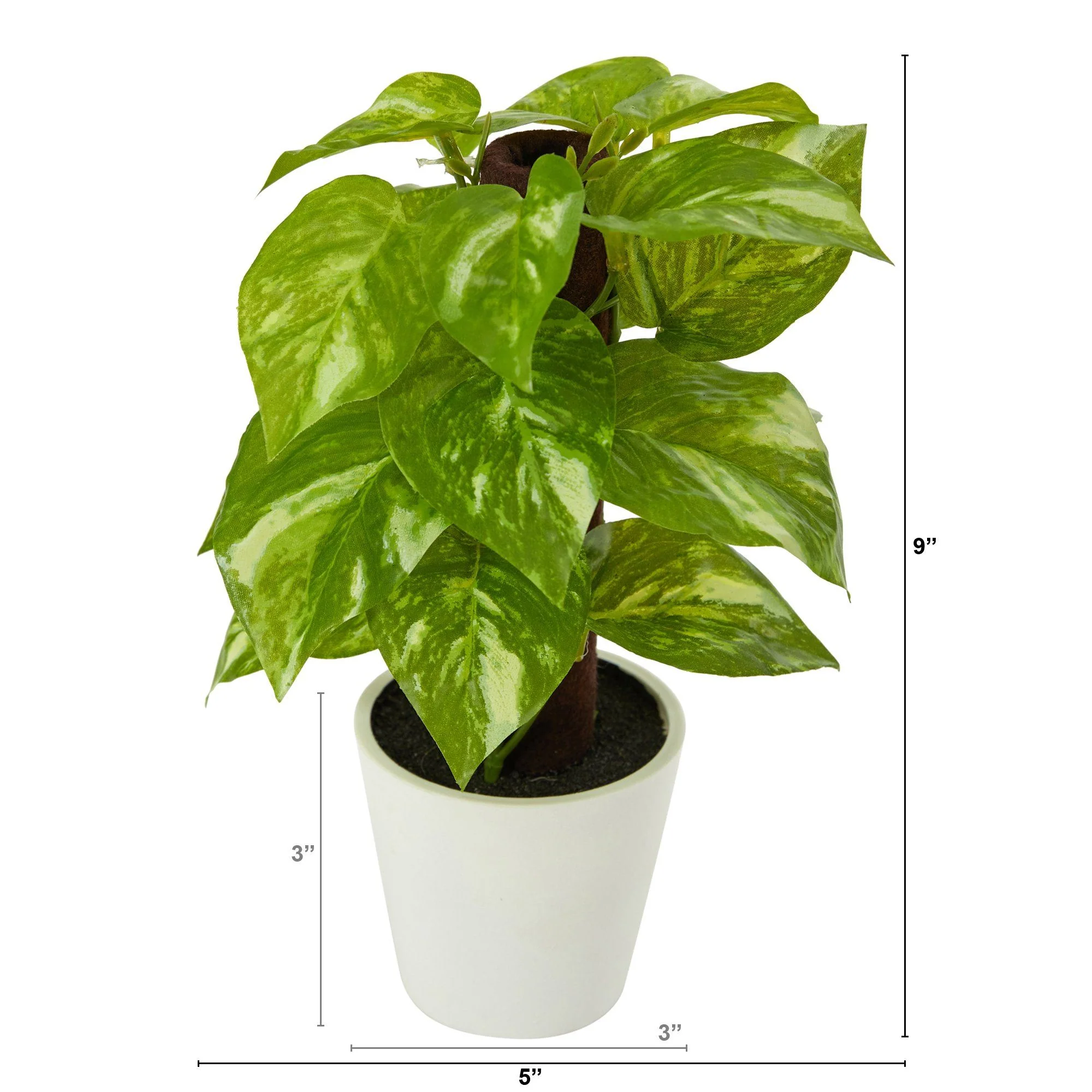 9” Faux Pothos Plant in White Planter (Real Touch) - Image 2