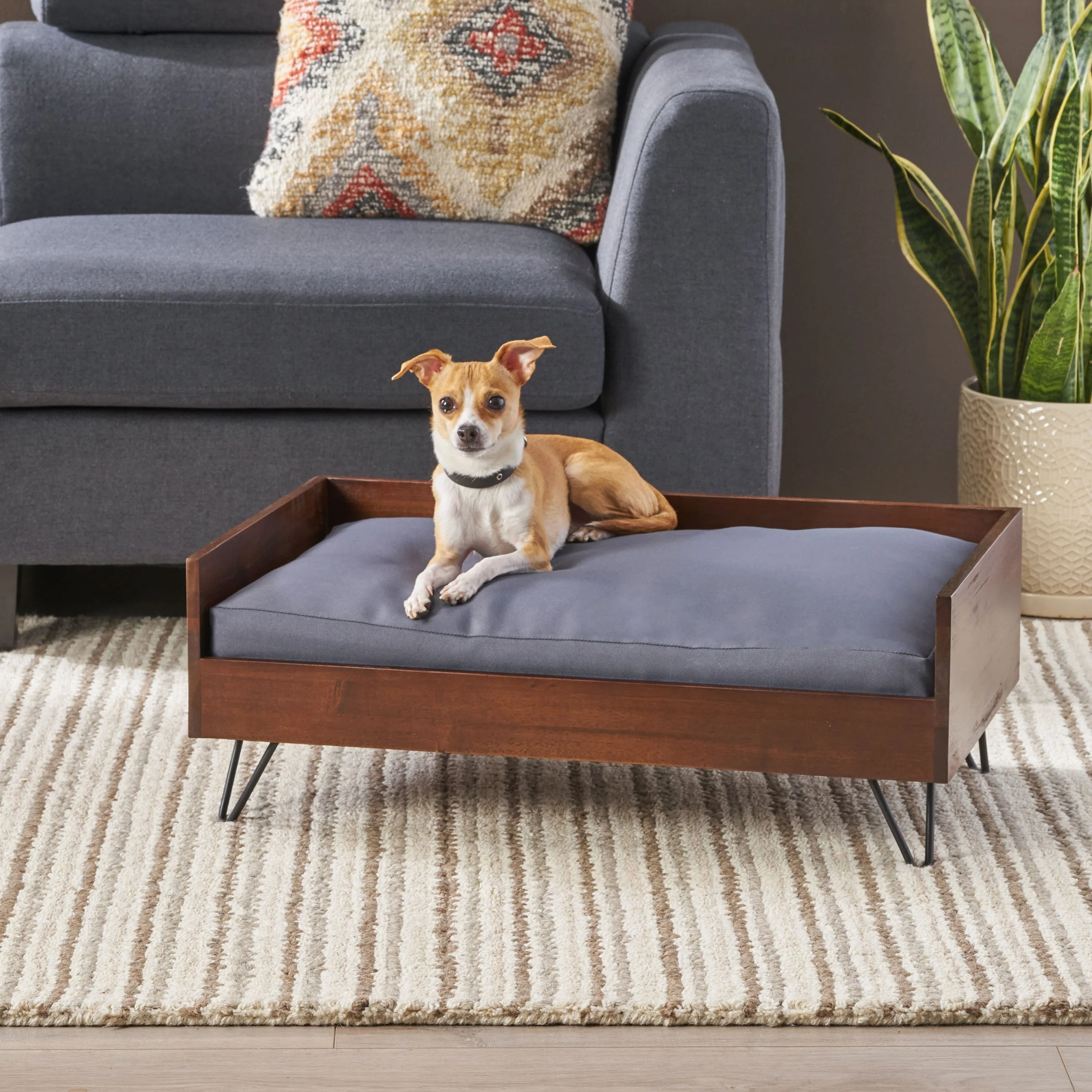 Acacia Wood Dog Bed with Sleek Hairpin Legs - Image 9