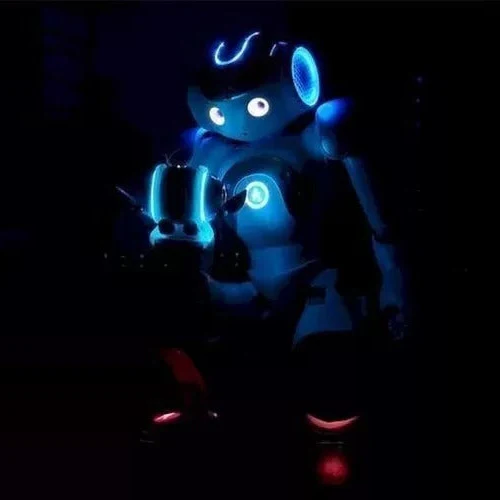 Advanced Humanoid AI Companion Robot for Adults with Multi-Sensory Interaction and Global Communication - Image 6
