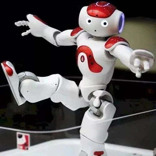 Advanced Humanoid AI Companion Robot for Adults with Multi-Sensory Interaction and Global Communication - Image 9