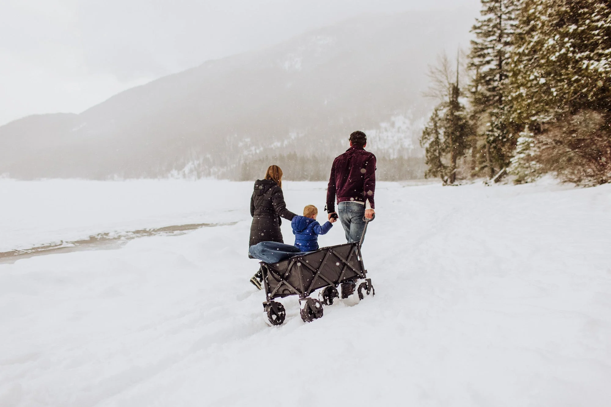 Adventure Wagon All-Terrain Portable Utility Wagon - Image 10