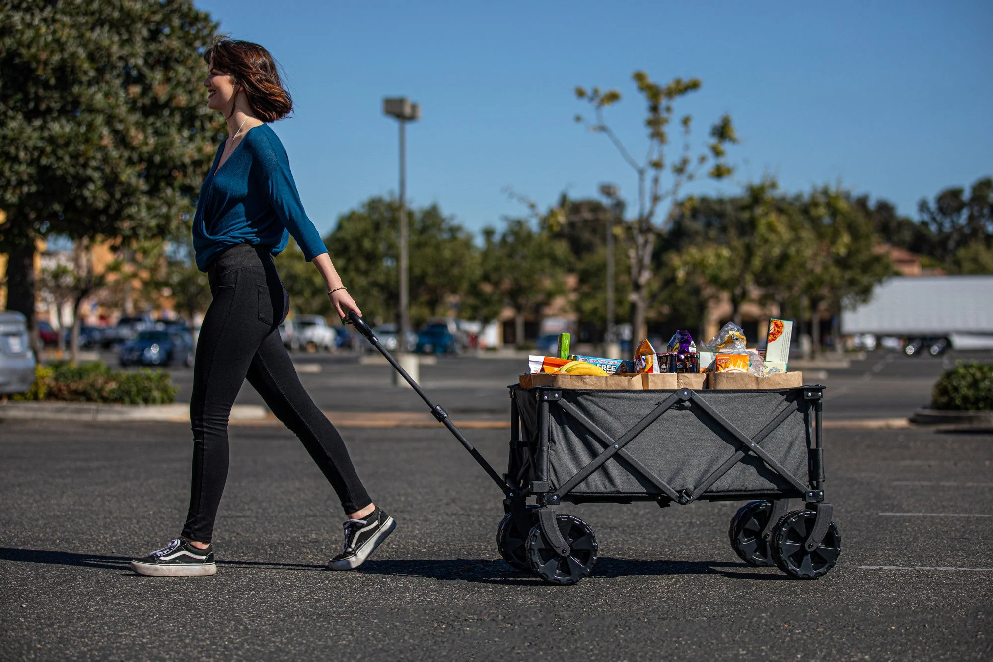 Adventure Wagon All-Terrain Portable Utility Wagon - Image 9