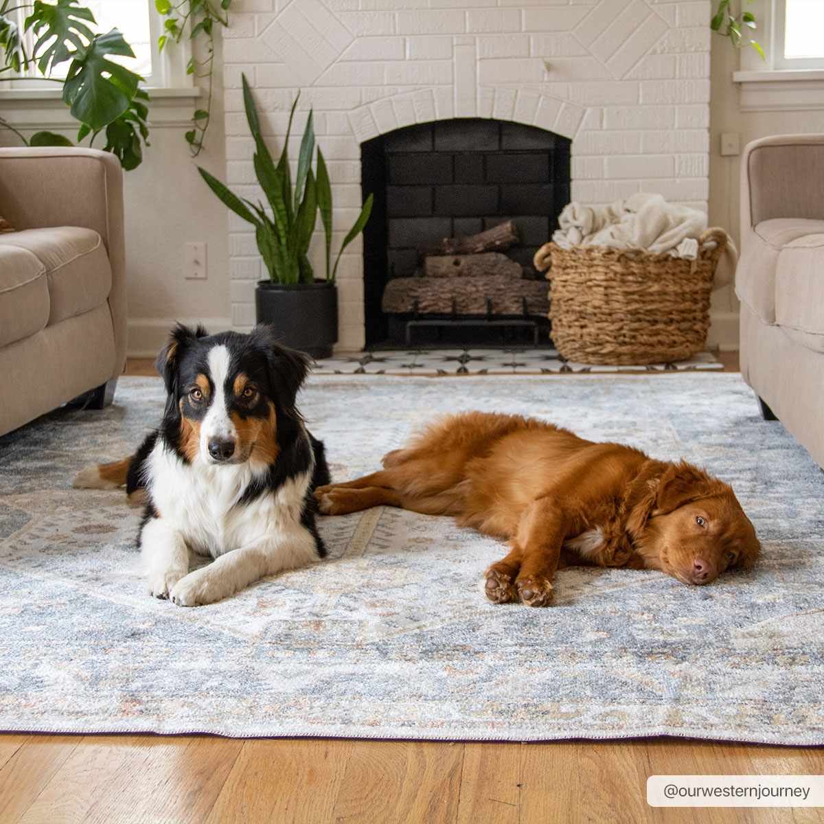 Afya Boutique Washable Rug - Image 3