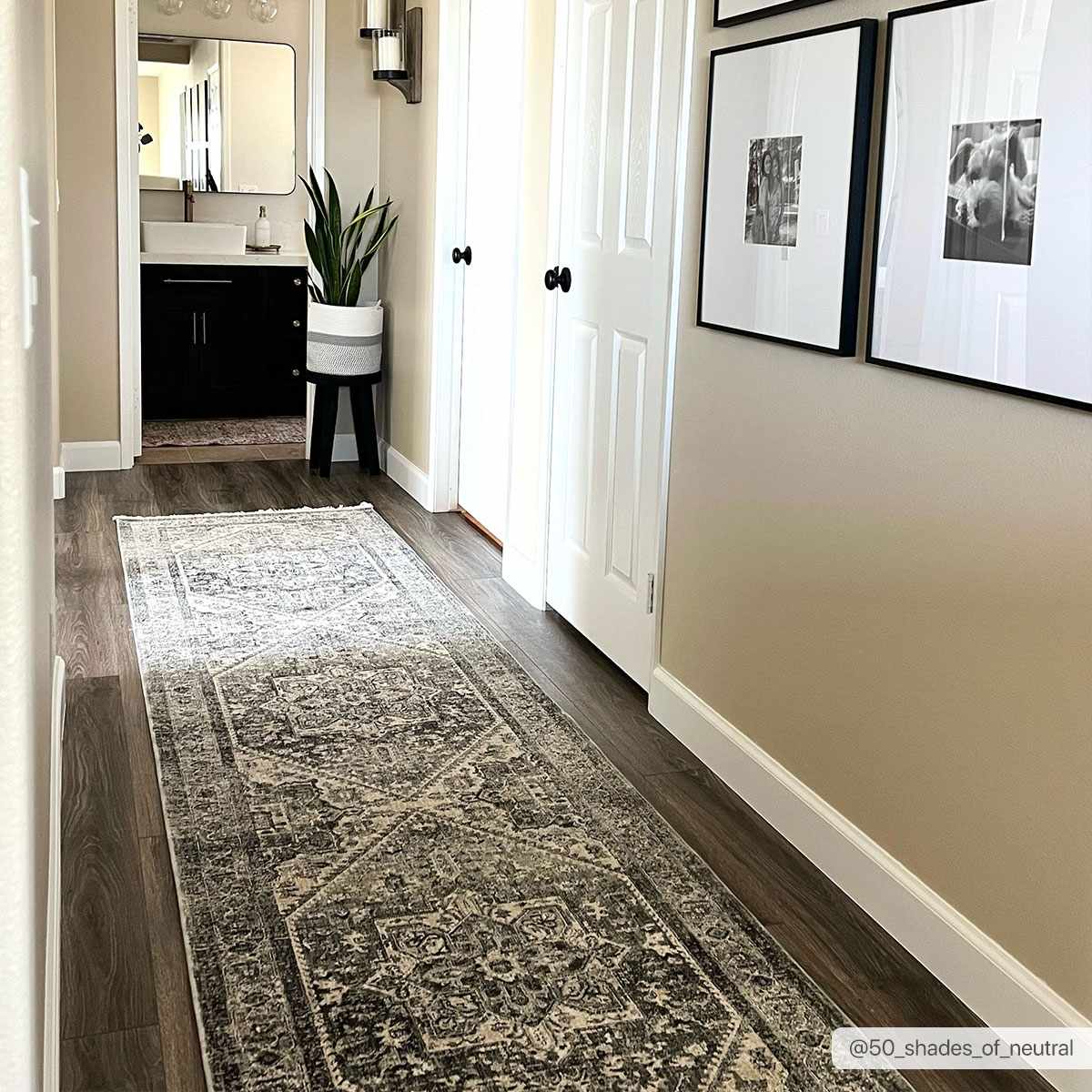 Ailsa Area Rug - Clearance - Image 3