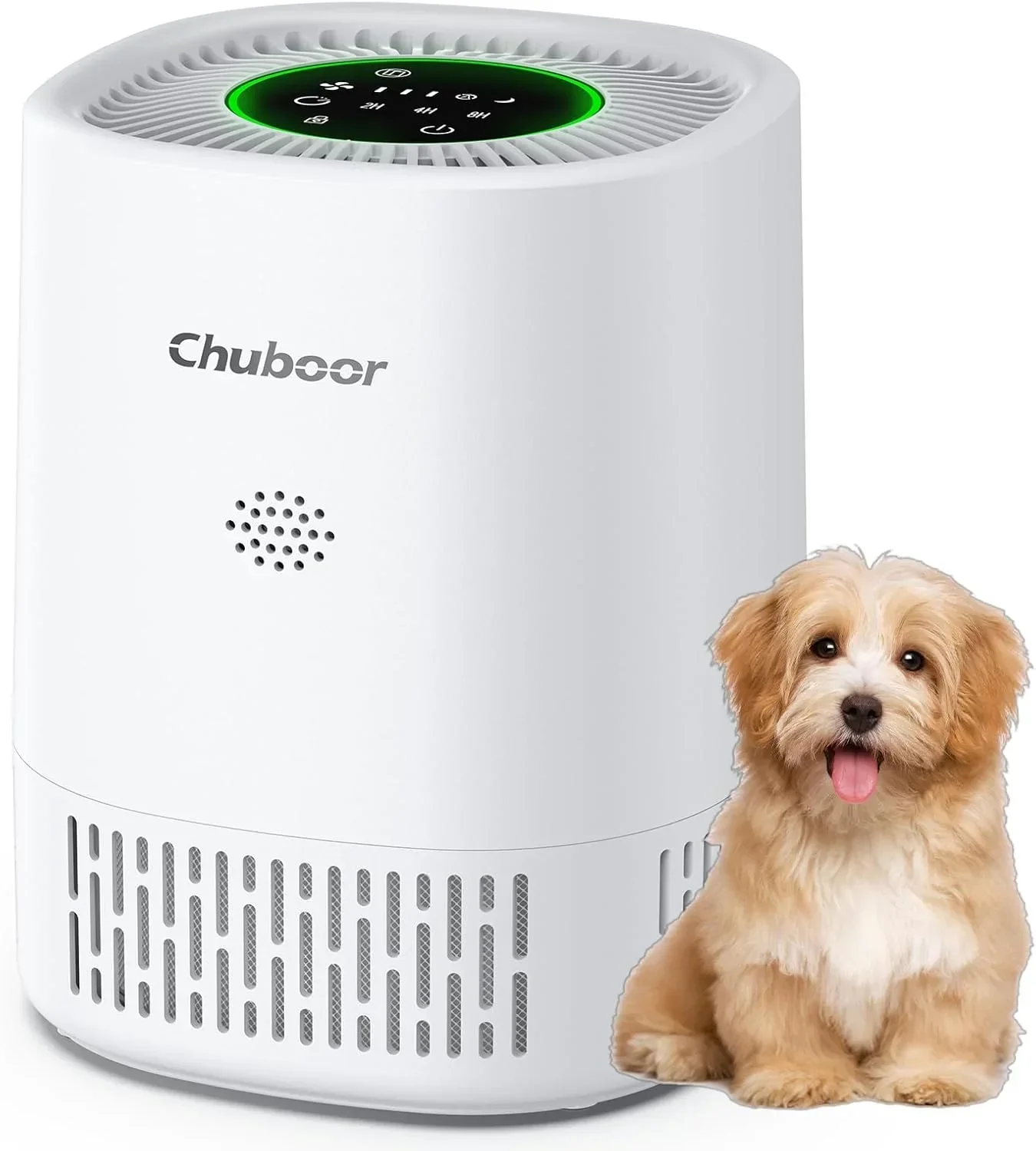 Air Purifier for Bedroom Home with HEPA Filter Smoke Allergies Pet Odor Dust - Image 8