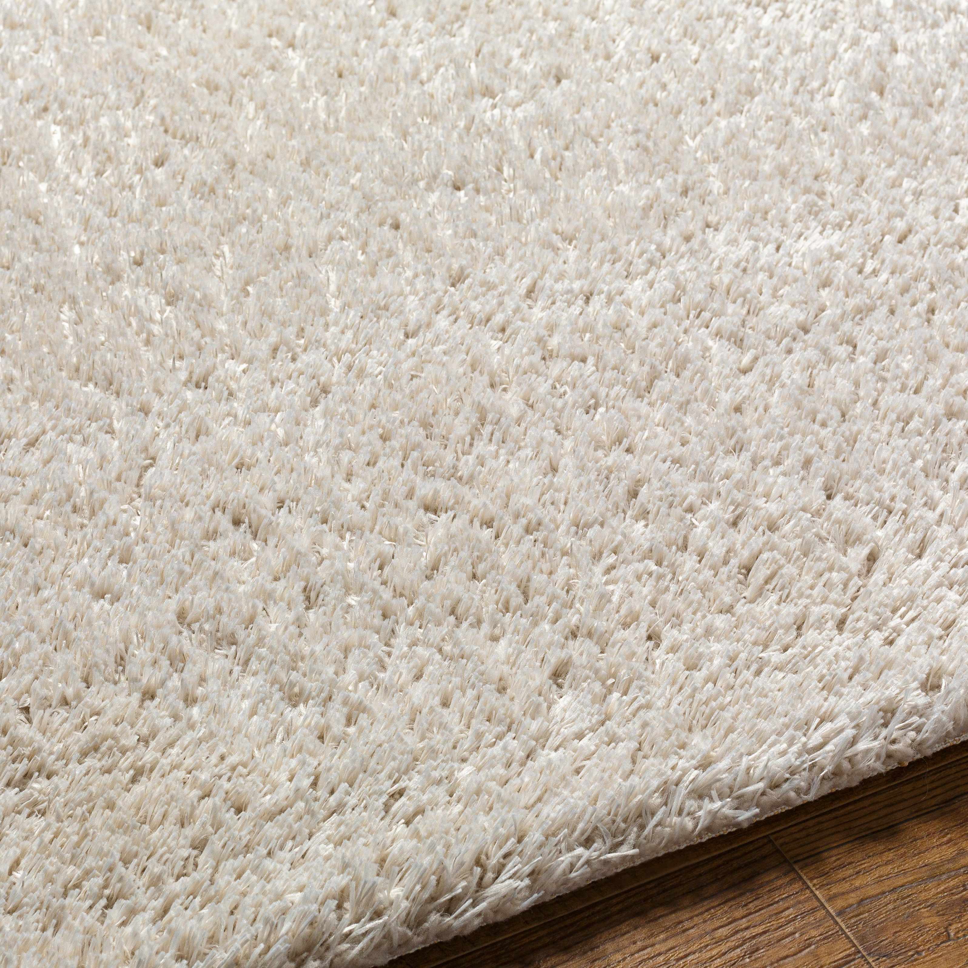 Ajeya Area Rug - Image 3
