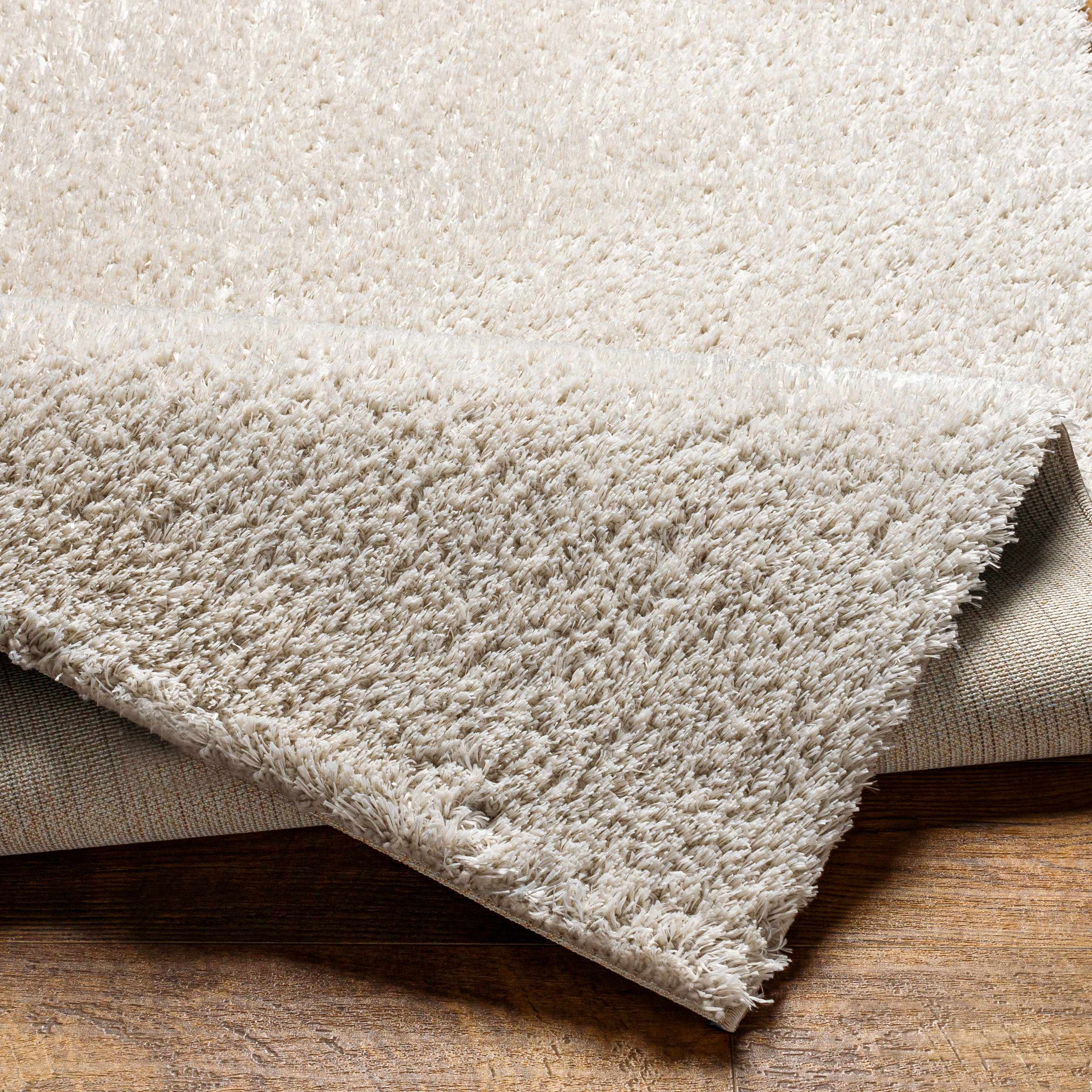 Ajeya Area Rug - Image 4