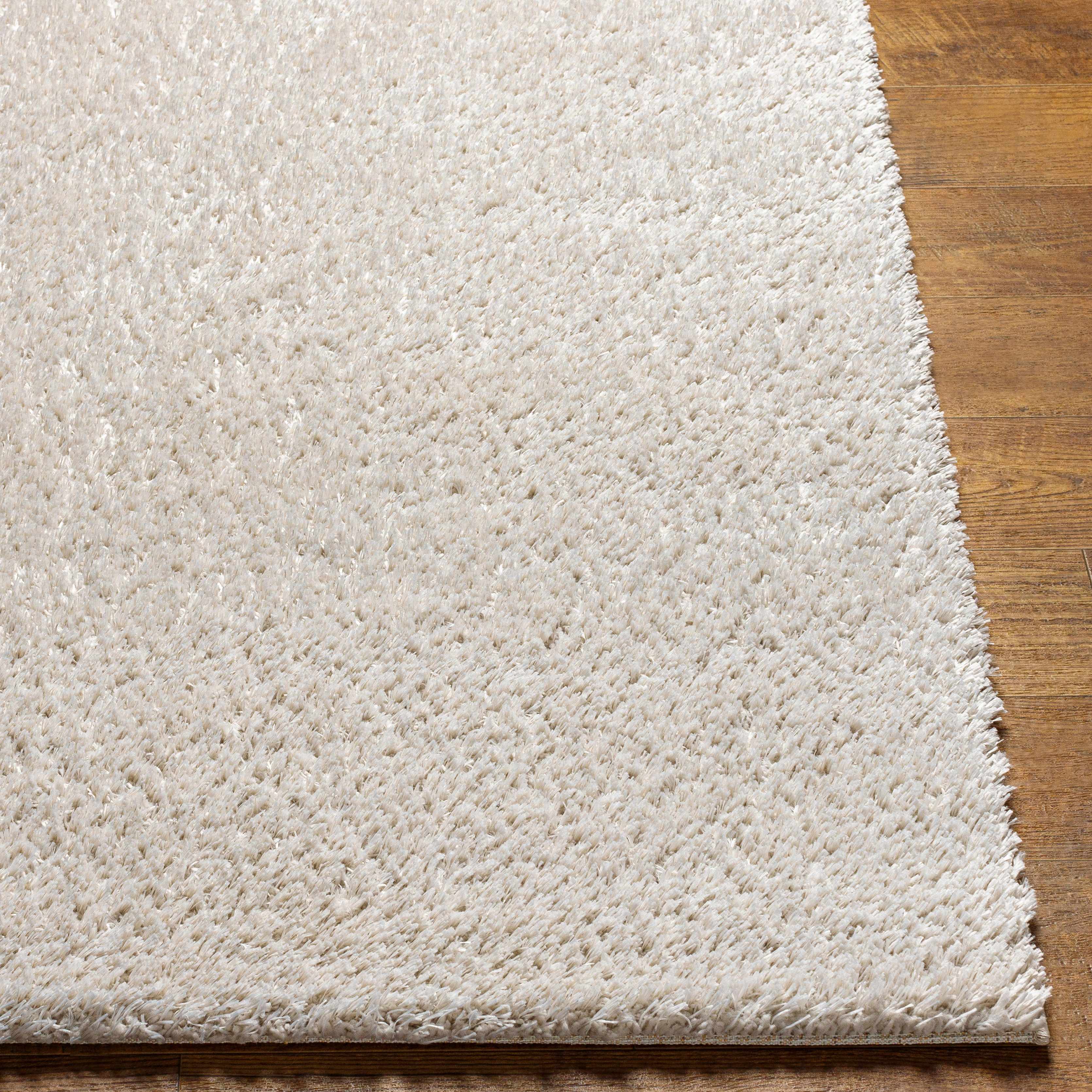 Ajeya Area Rug - Image 7
