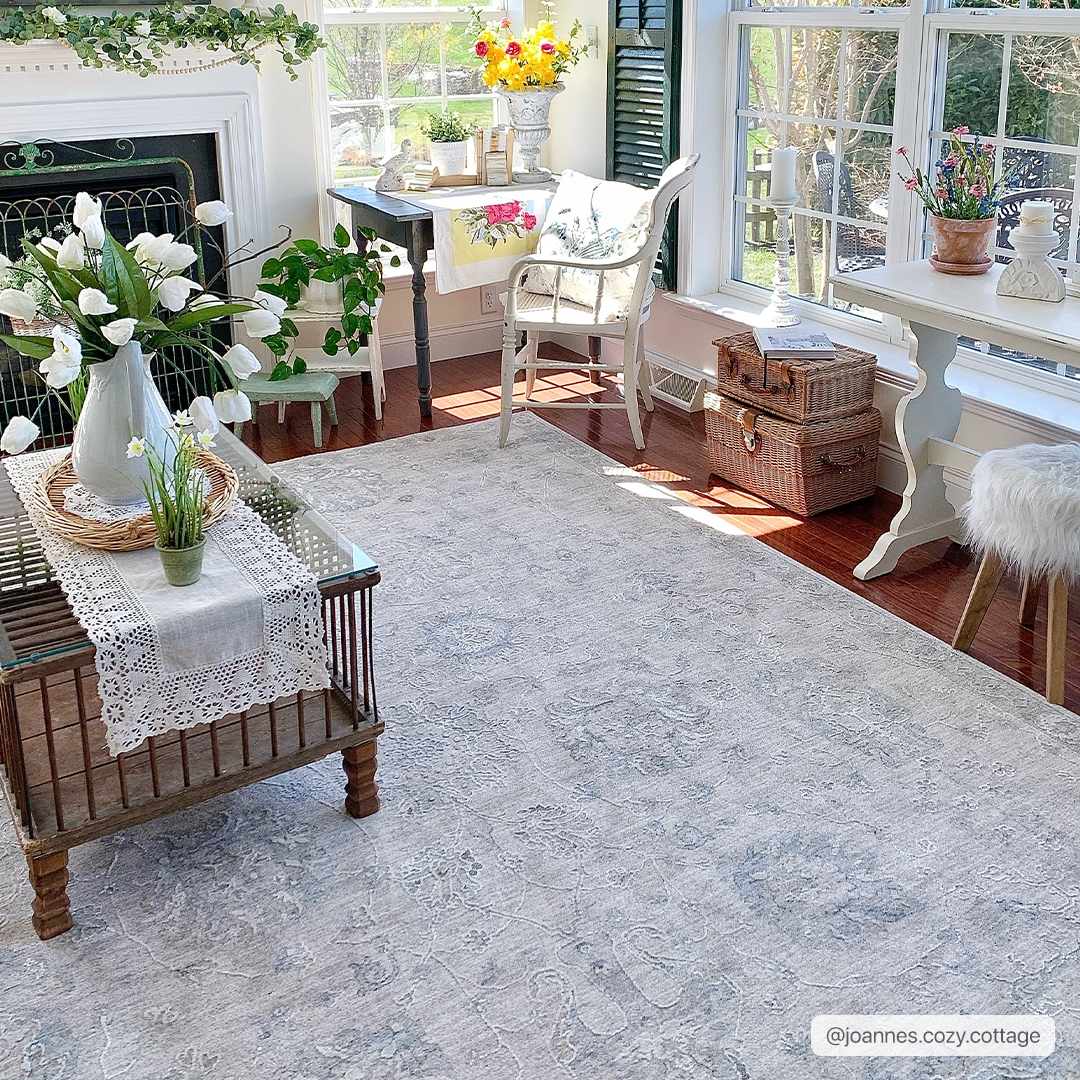 Albuquerque Area Rug - Image 3