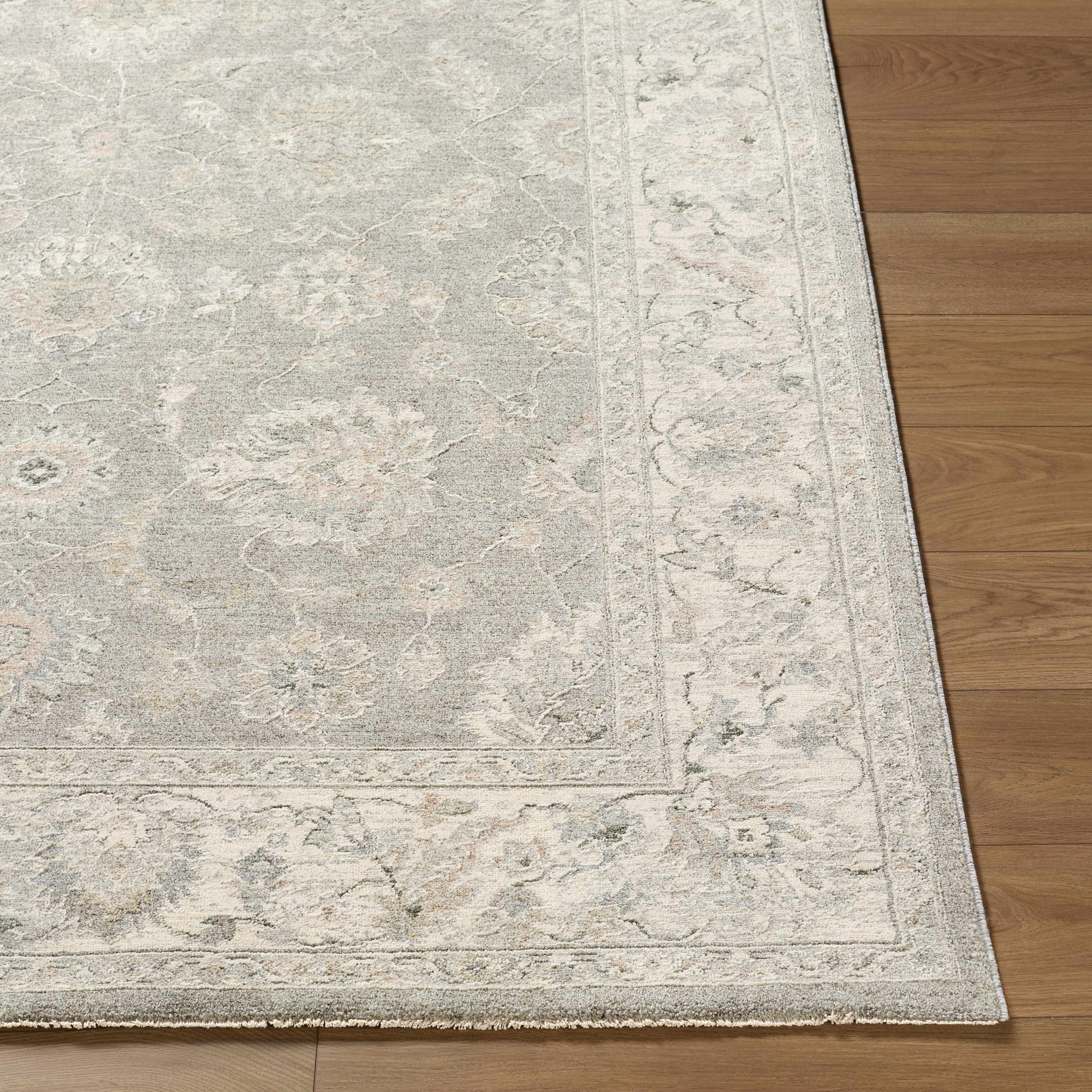 Alinae Area Rug - Image 4