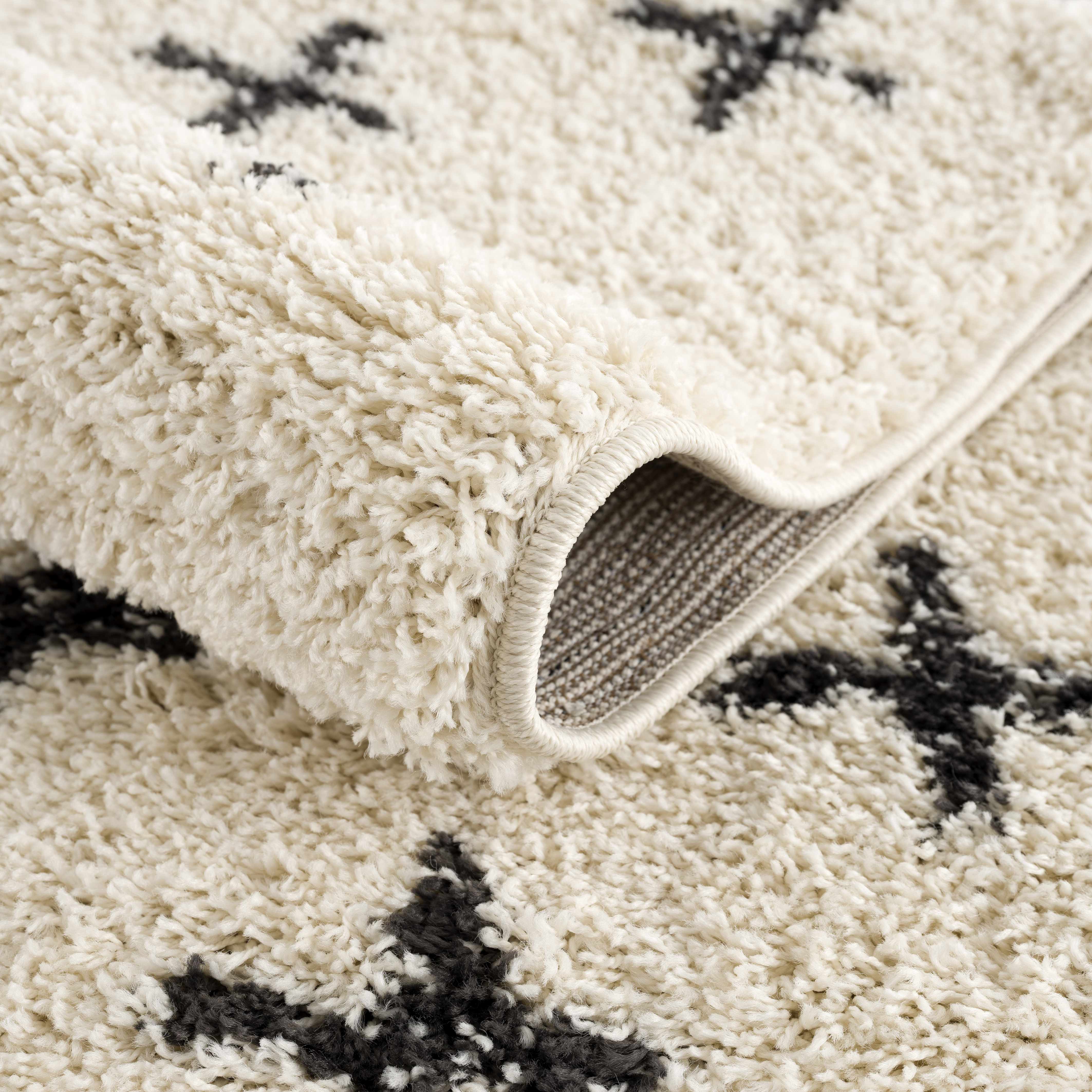Alstead Shag Area Rug - Image 8