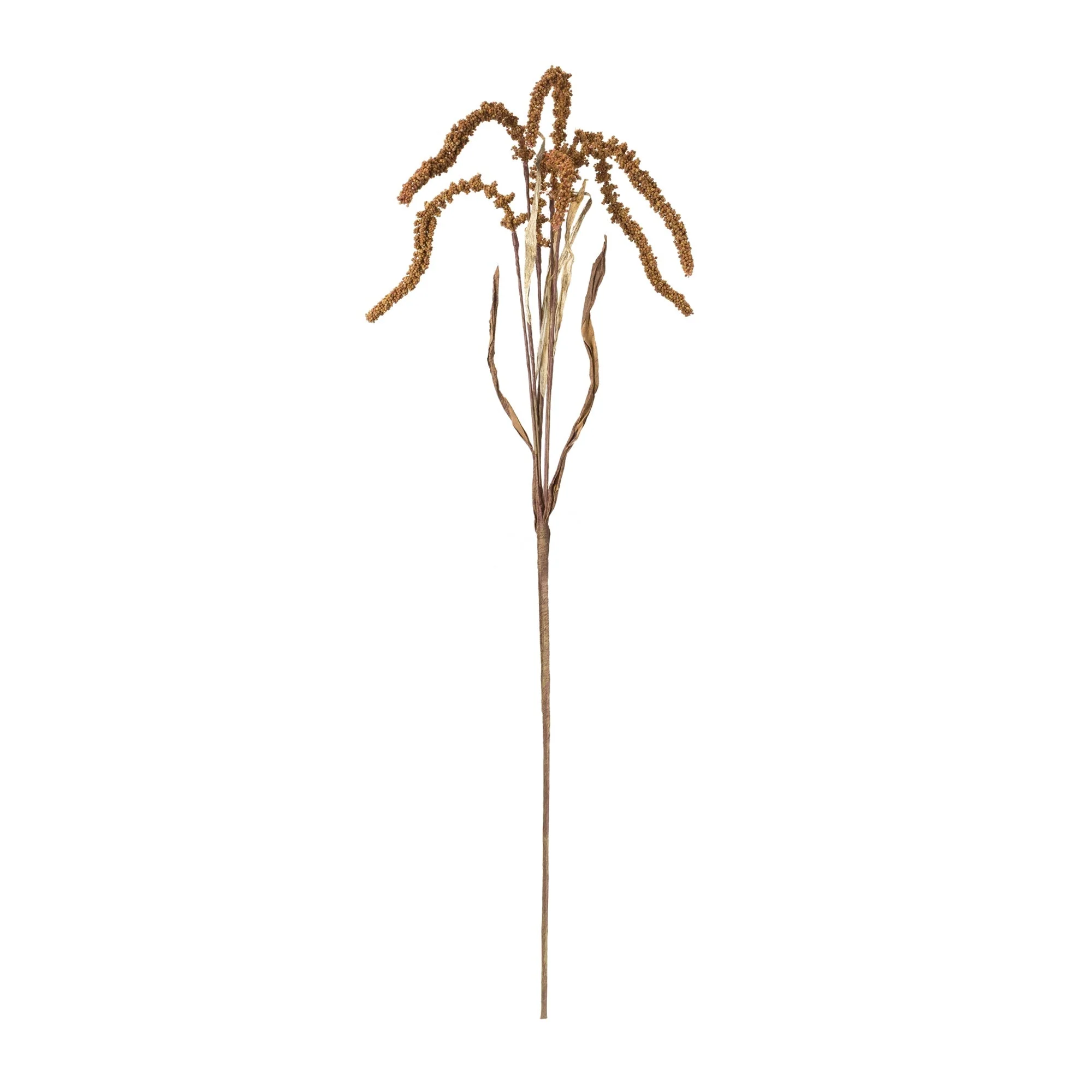 Amaranthus stem (set of 12) - Image 2