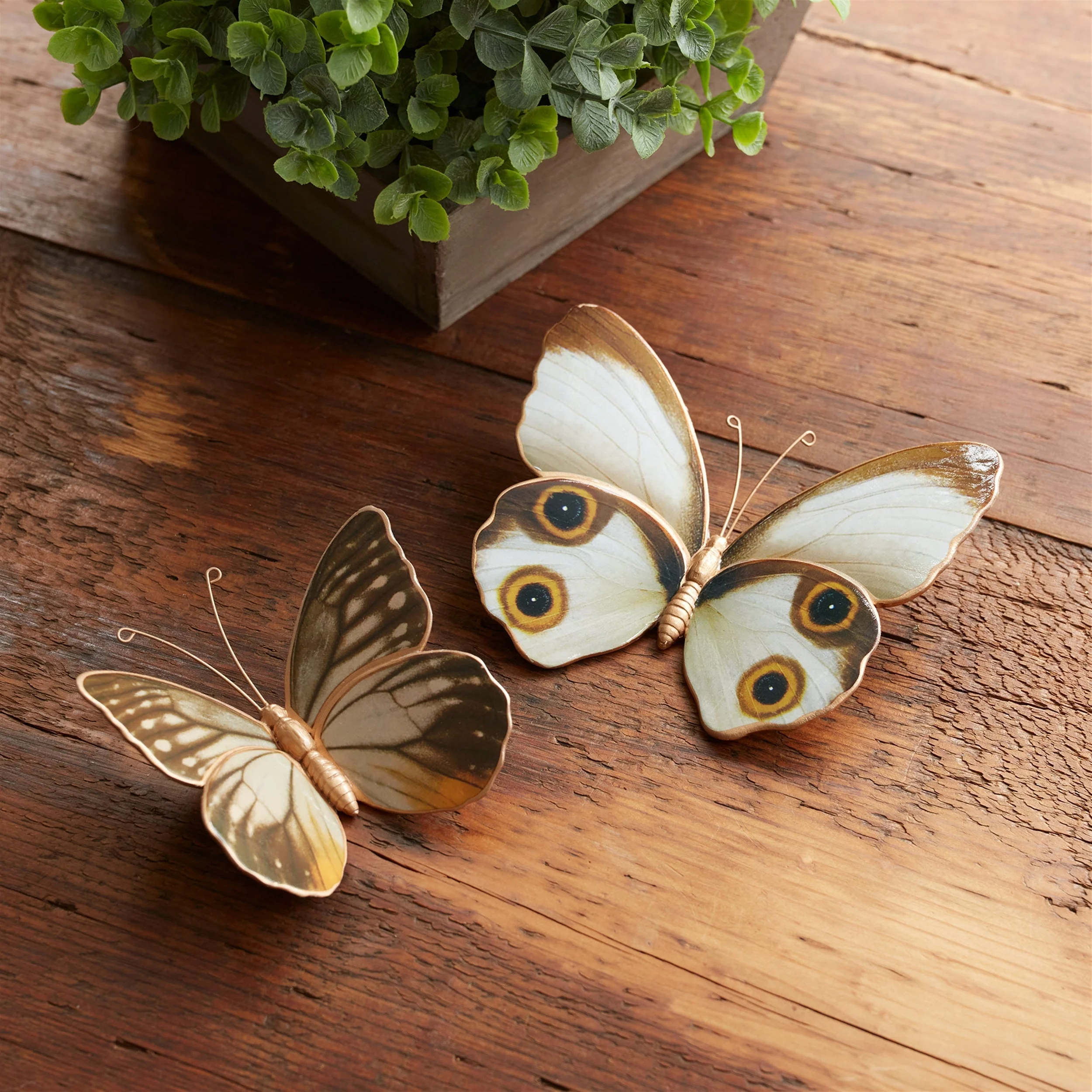Amber Butterfly and Moth Shelf Sitter (Set of 2) - Image 4