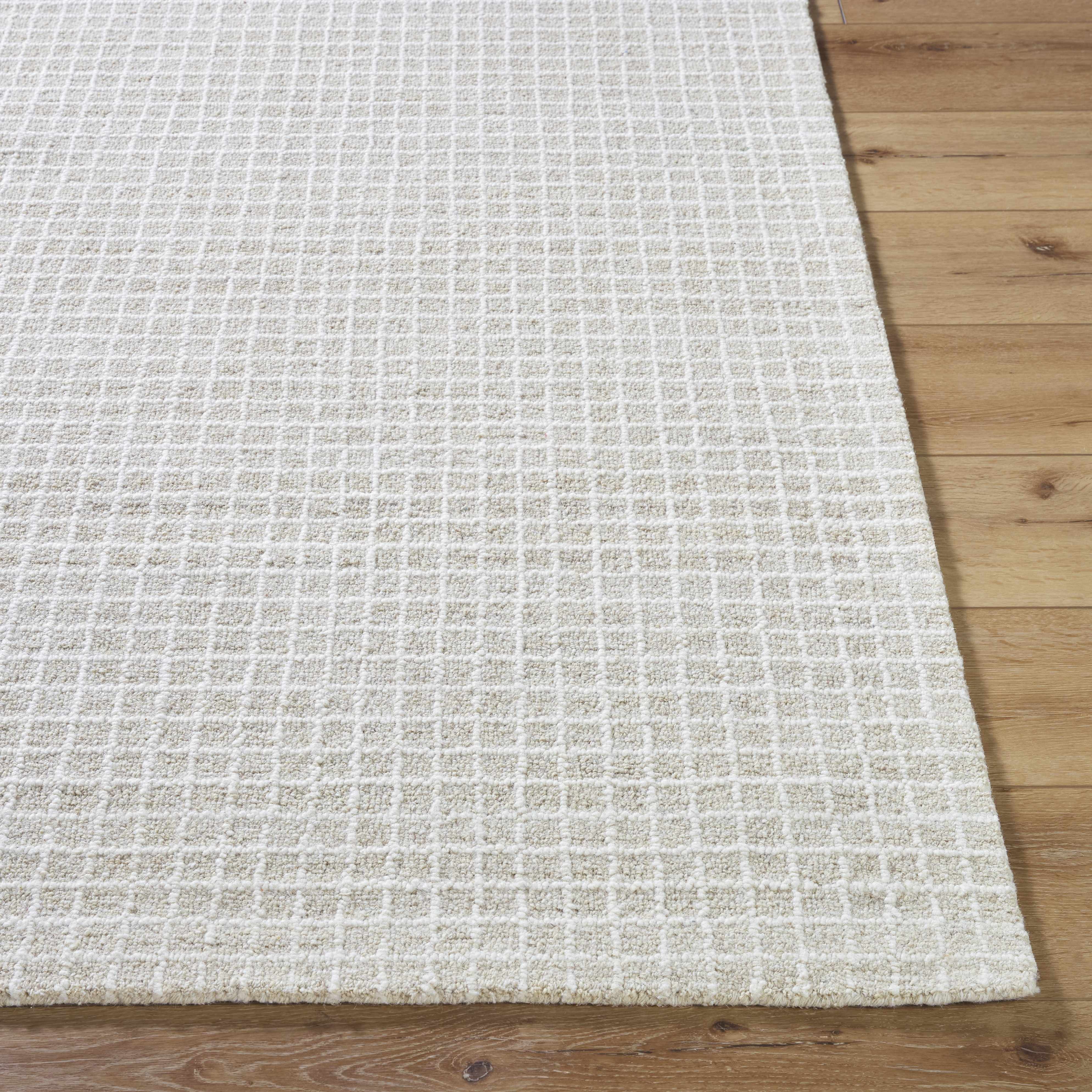 Anahid Bone Area Rug - Image 5