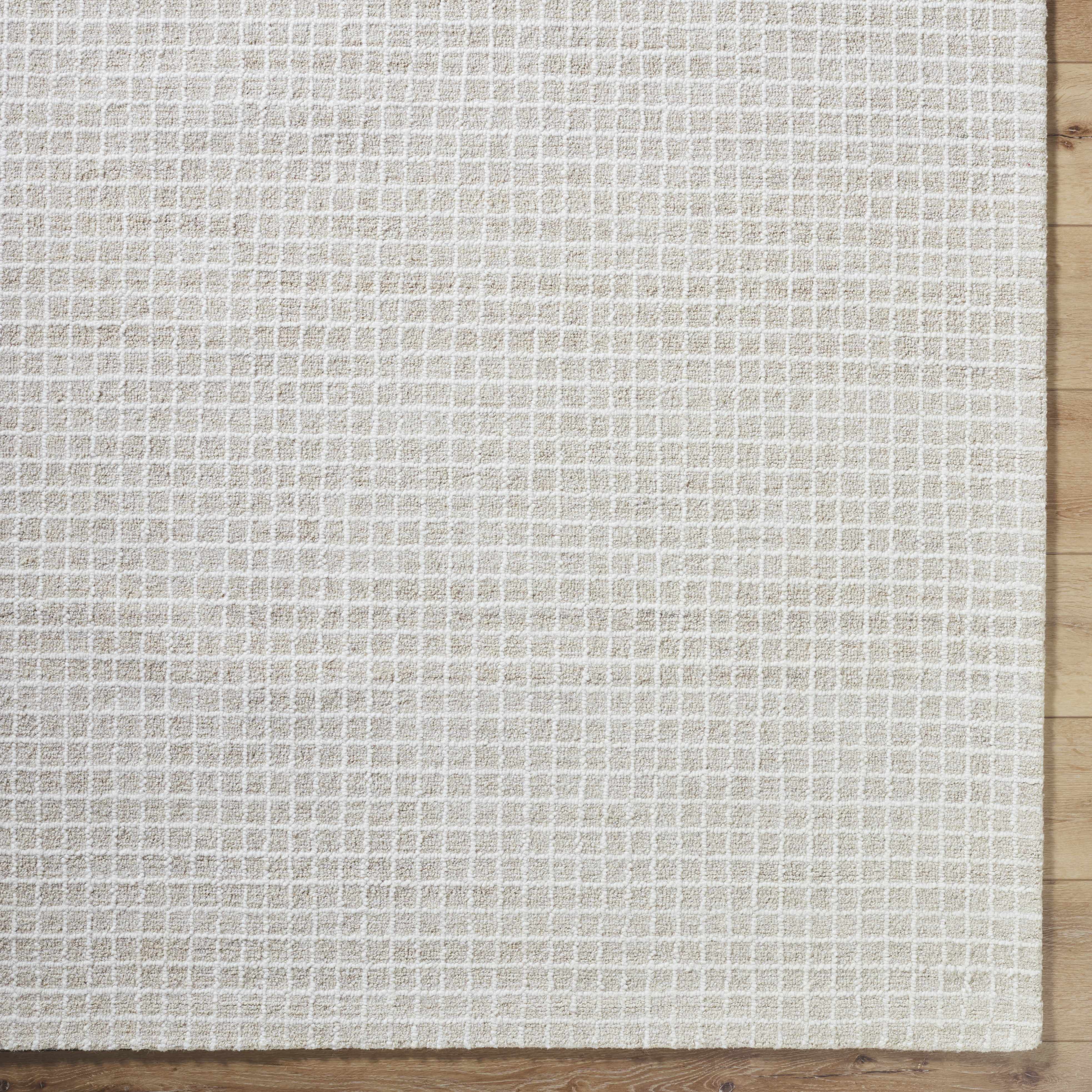 Anahid Bone Area Rug - Image 6