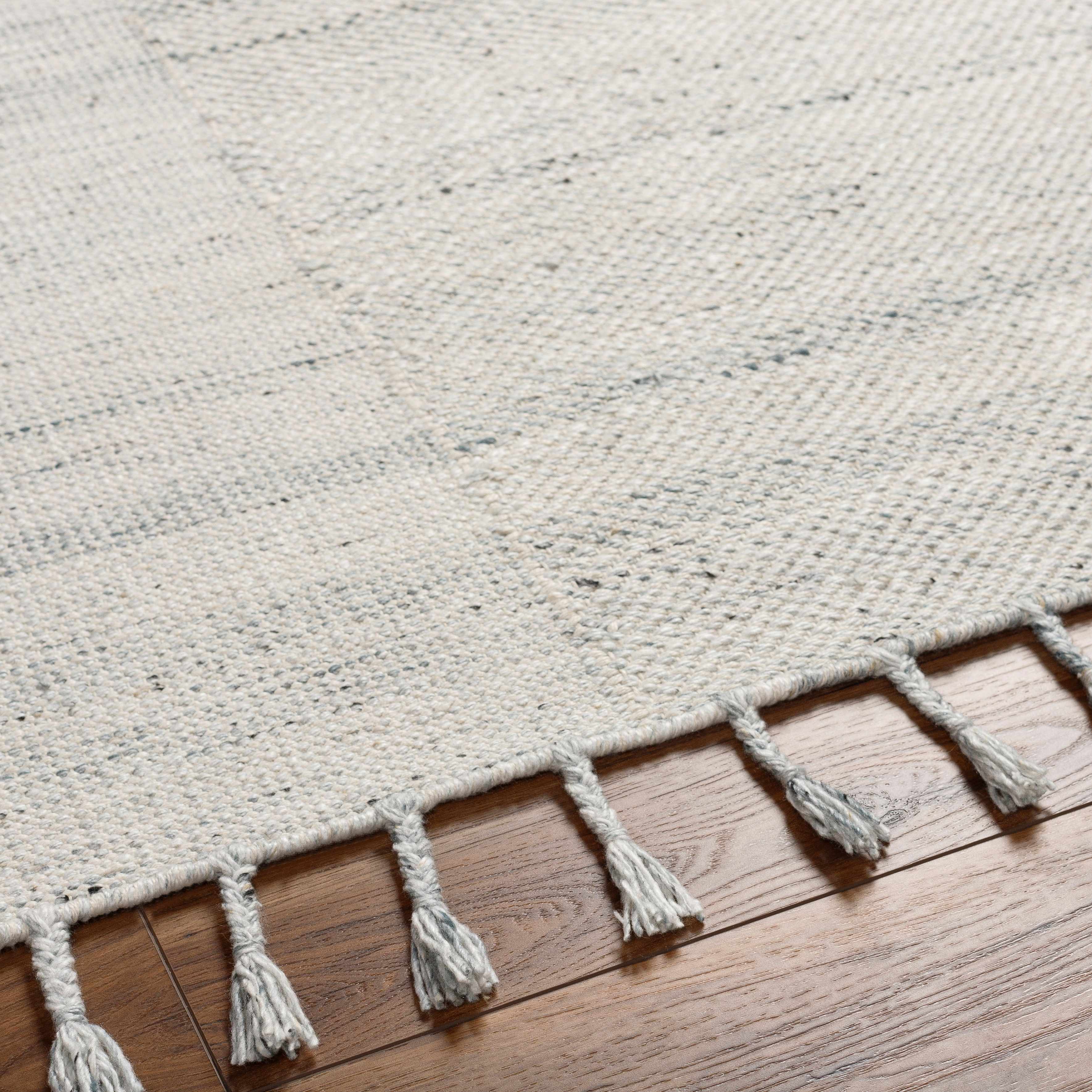 Anaya Beige & Blue Area Rug - Clearance - Image 3