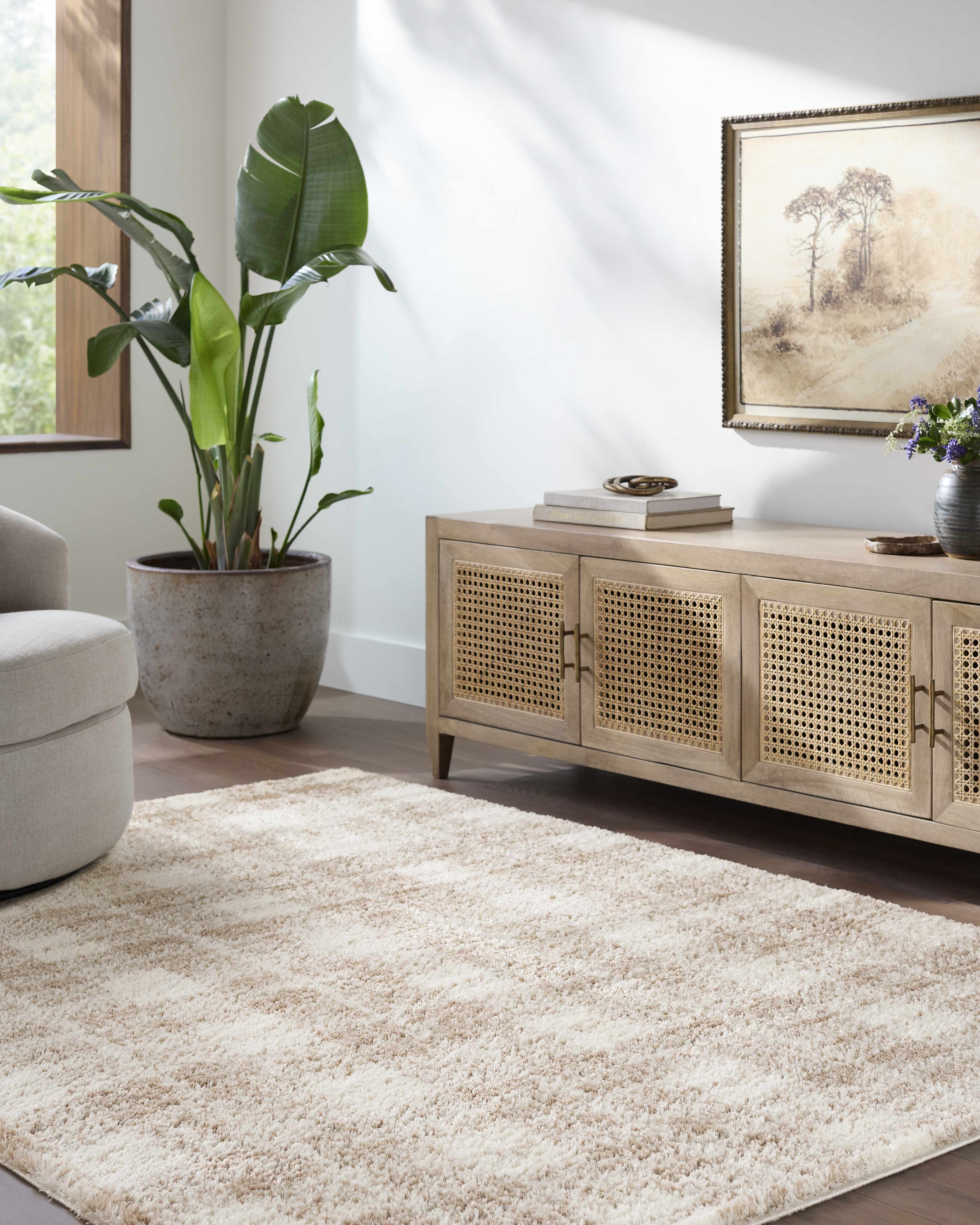 Anfisa Beige Luxe Shag Area Rug - Image 2