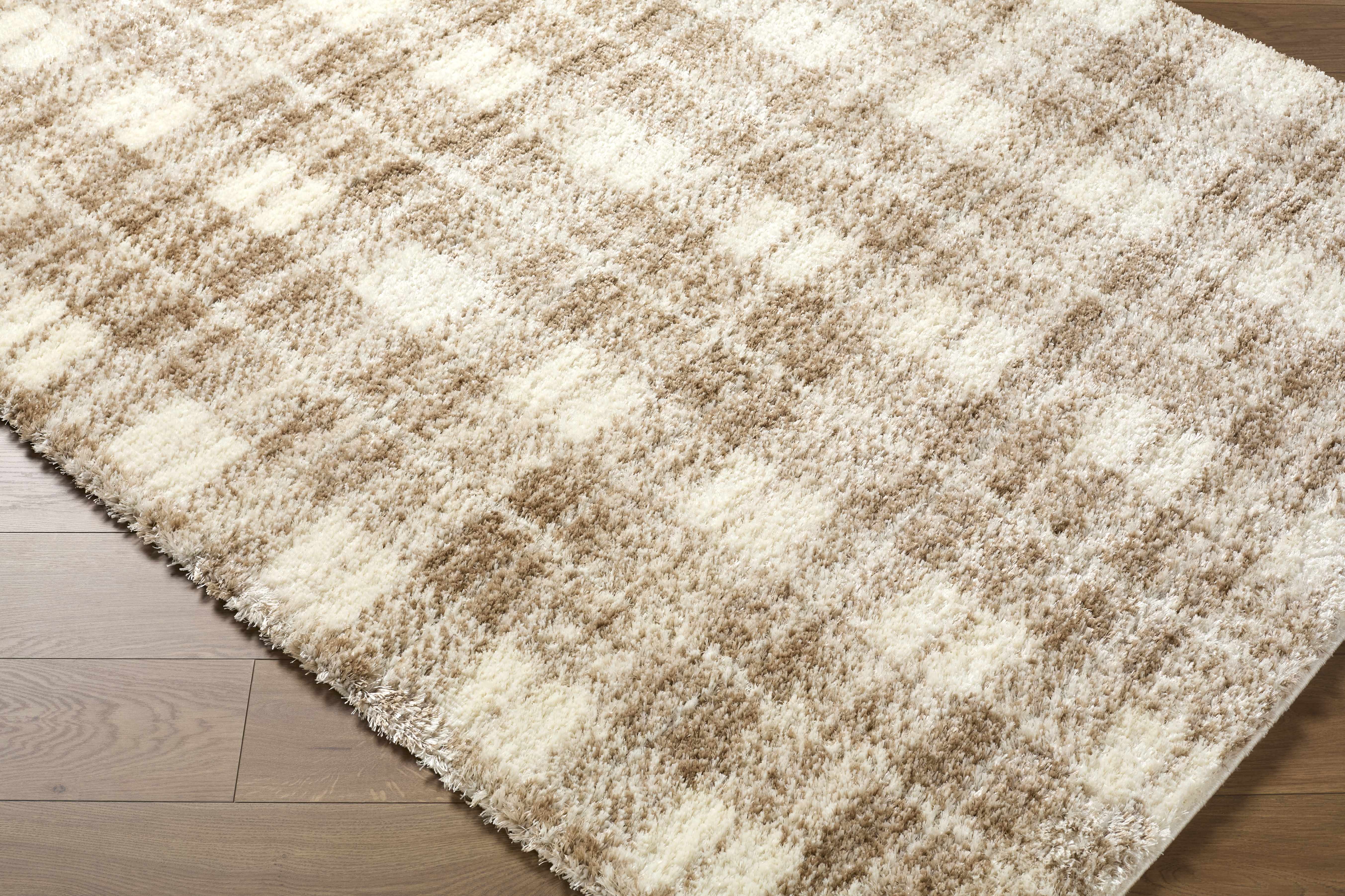 Anfisa Beige Luxe Shag Area Rug - Image 3
