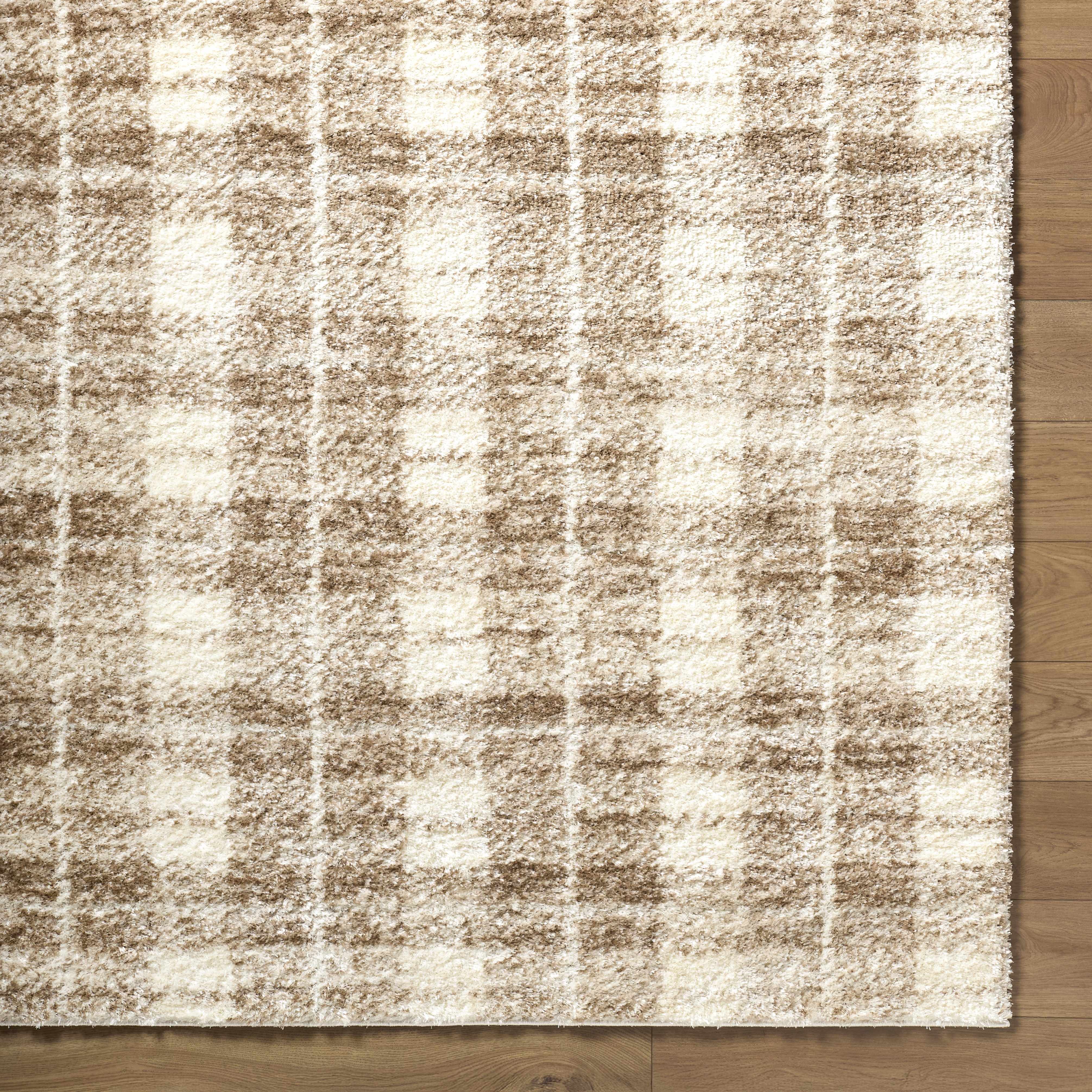Anfisa Beige Luxe Shag Area Rug - Image 4