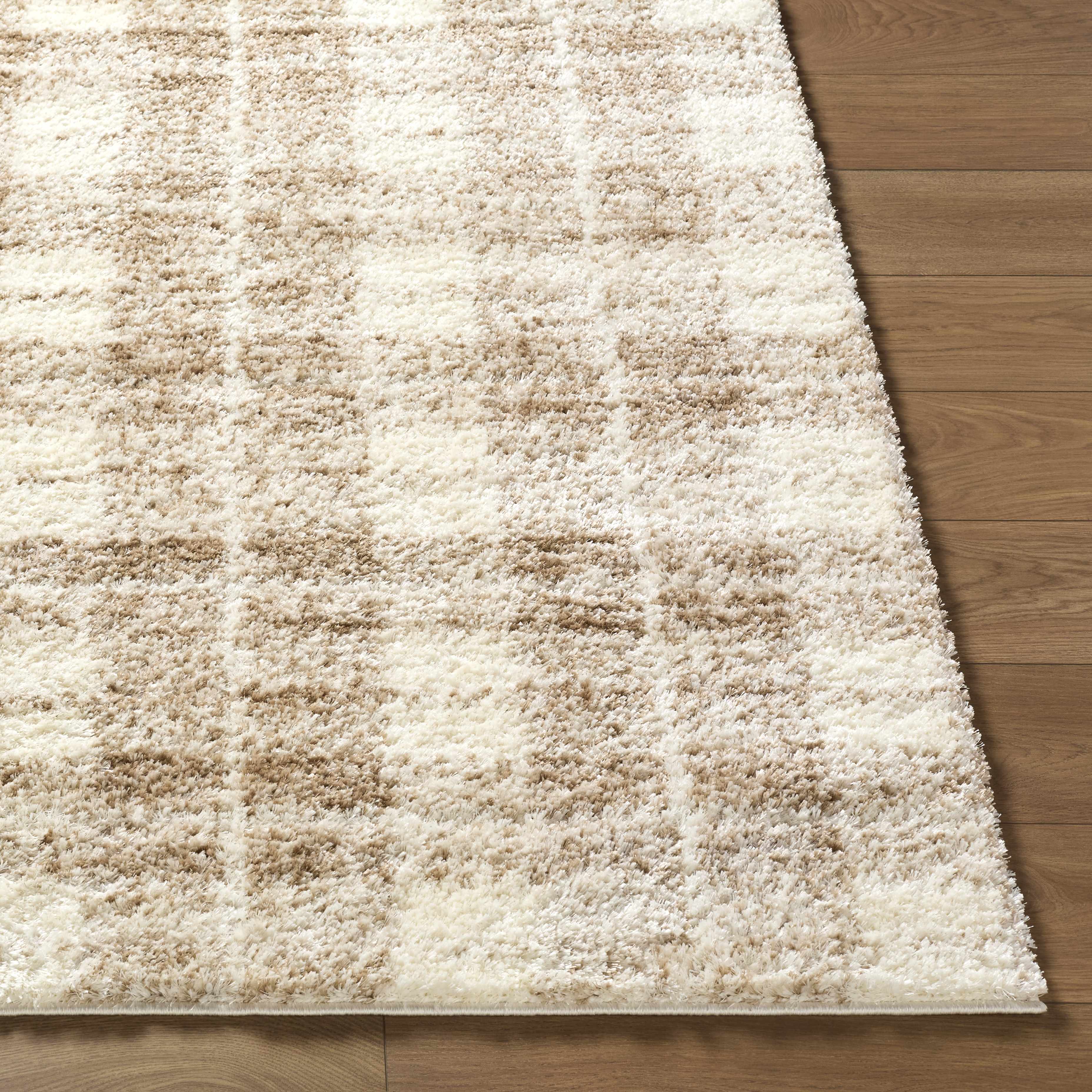 Anfisa Beige Luxe Shag Area Rug - Image 6