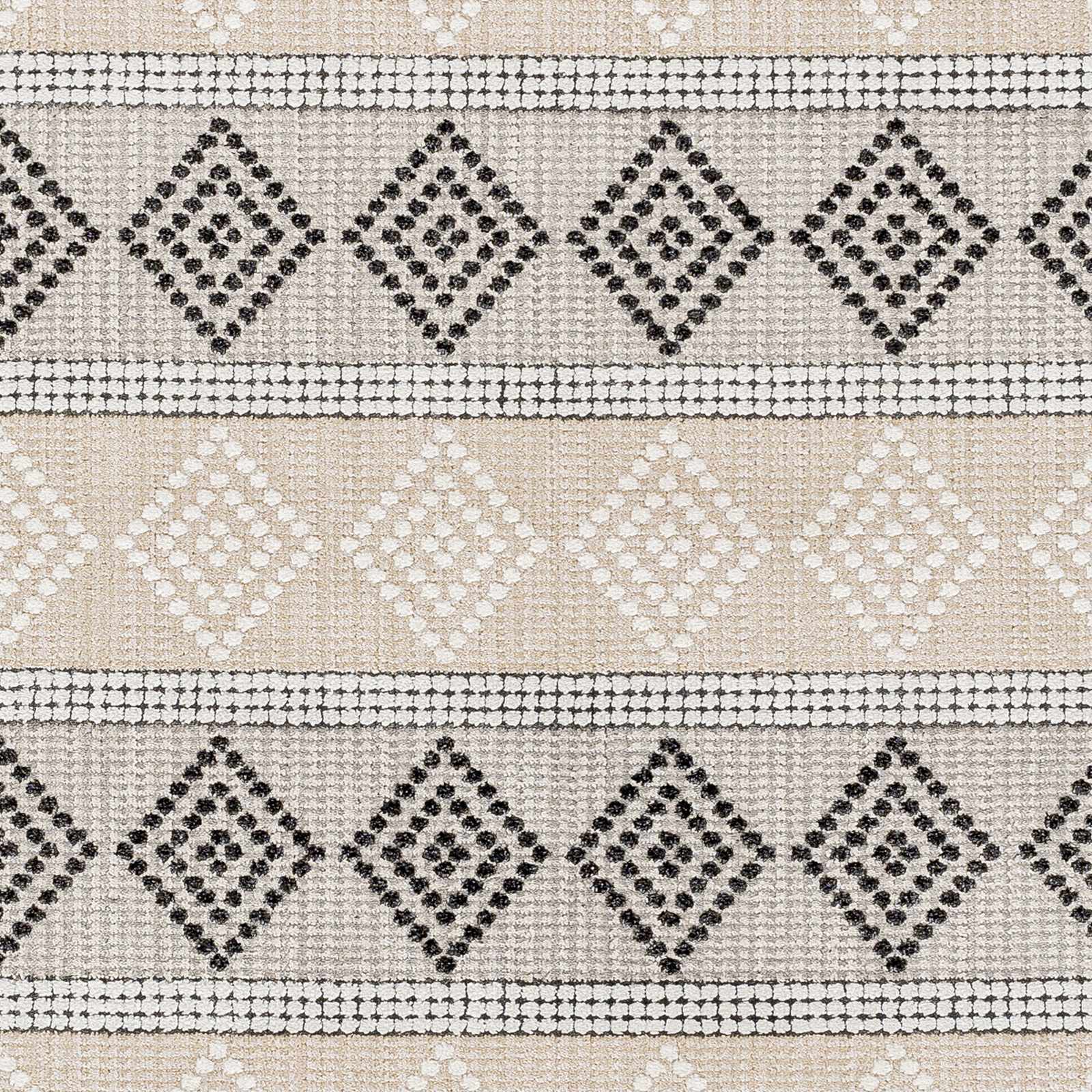 Arij Area Rug - Clearance - Image 7
