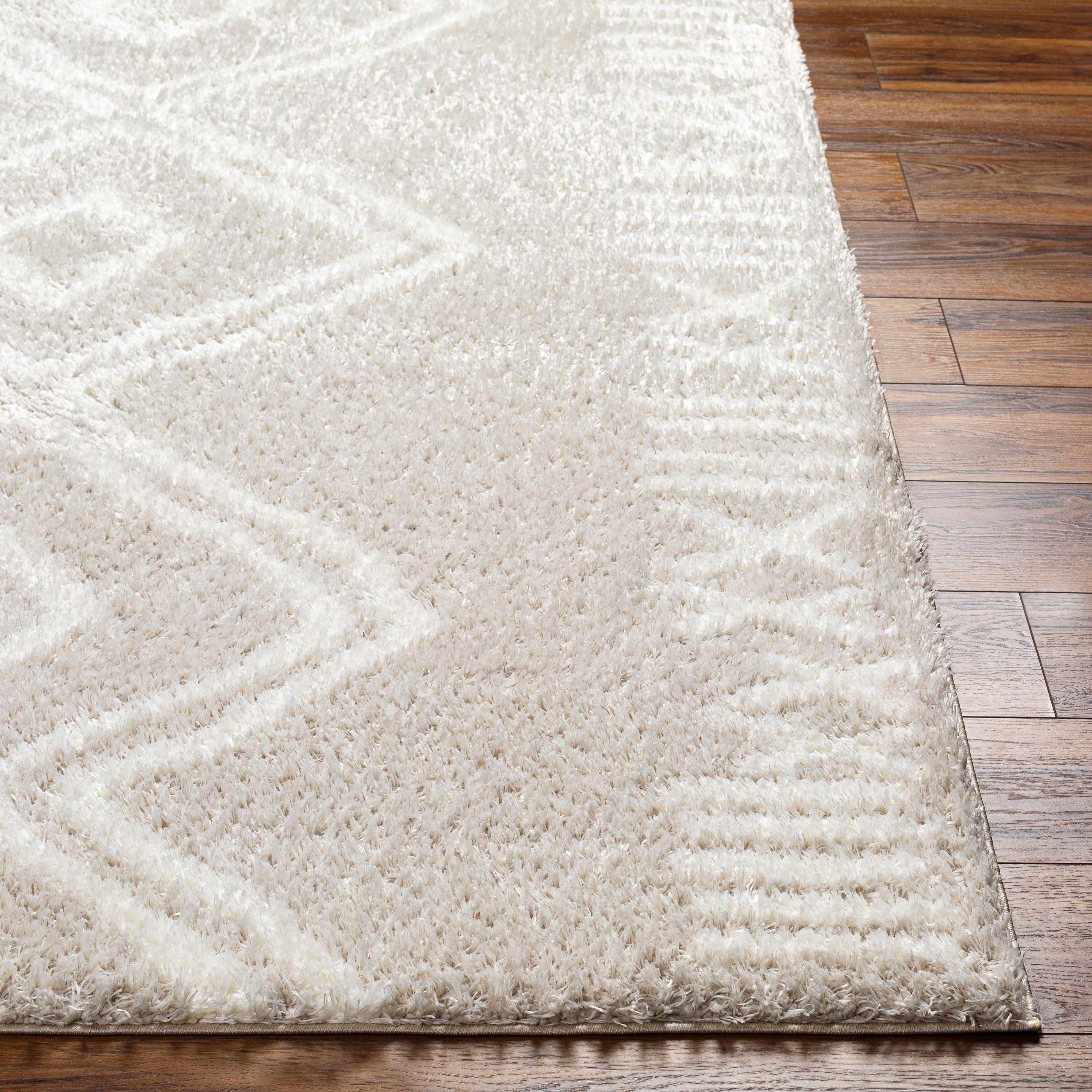Asael Cream Area Rug - Promo - Image 5