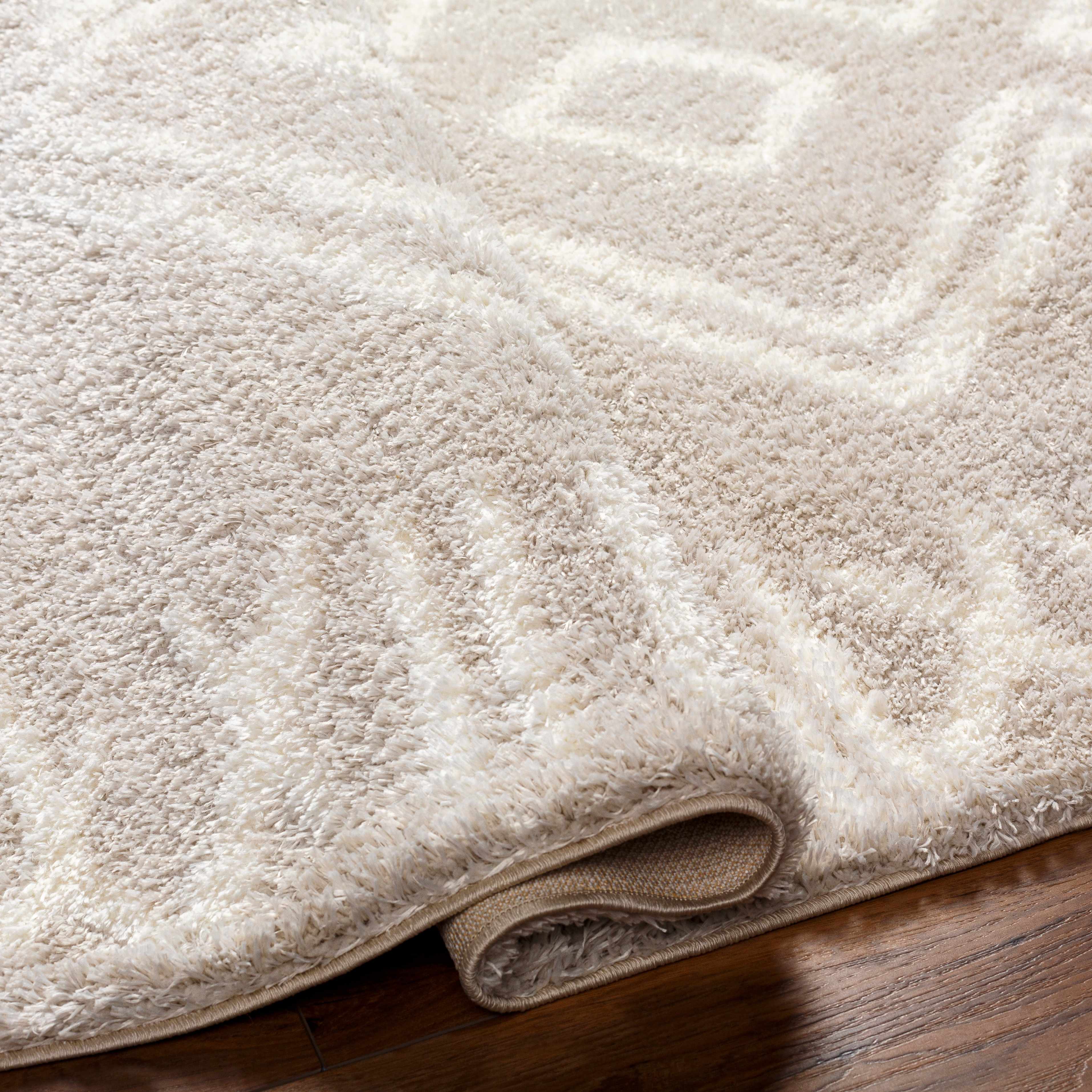 Asael Cream Area Rug - Promo - Image 6