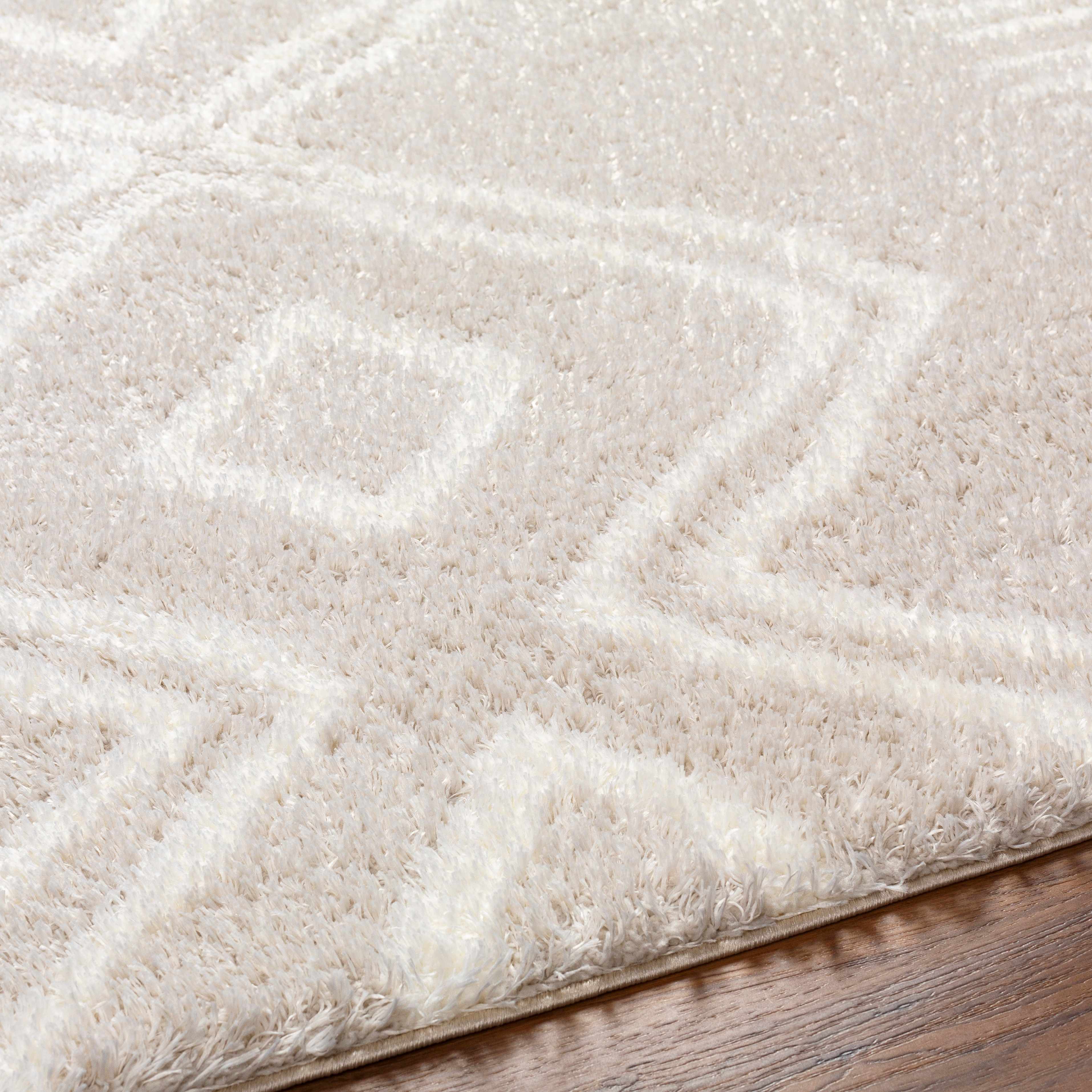 Asael Cream Area Rug - Promo - Image 7