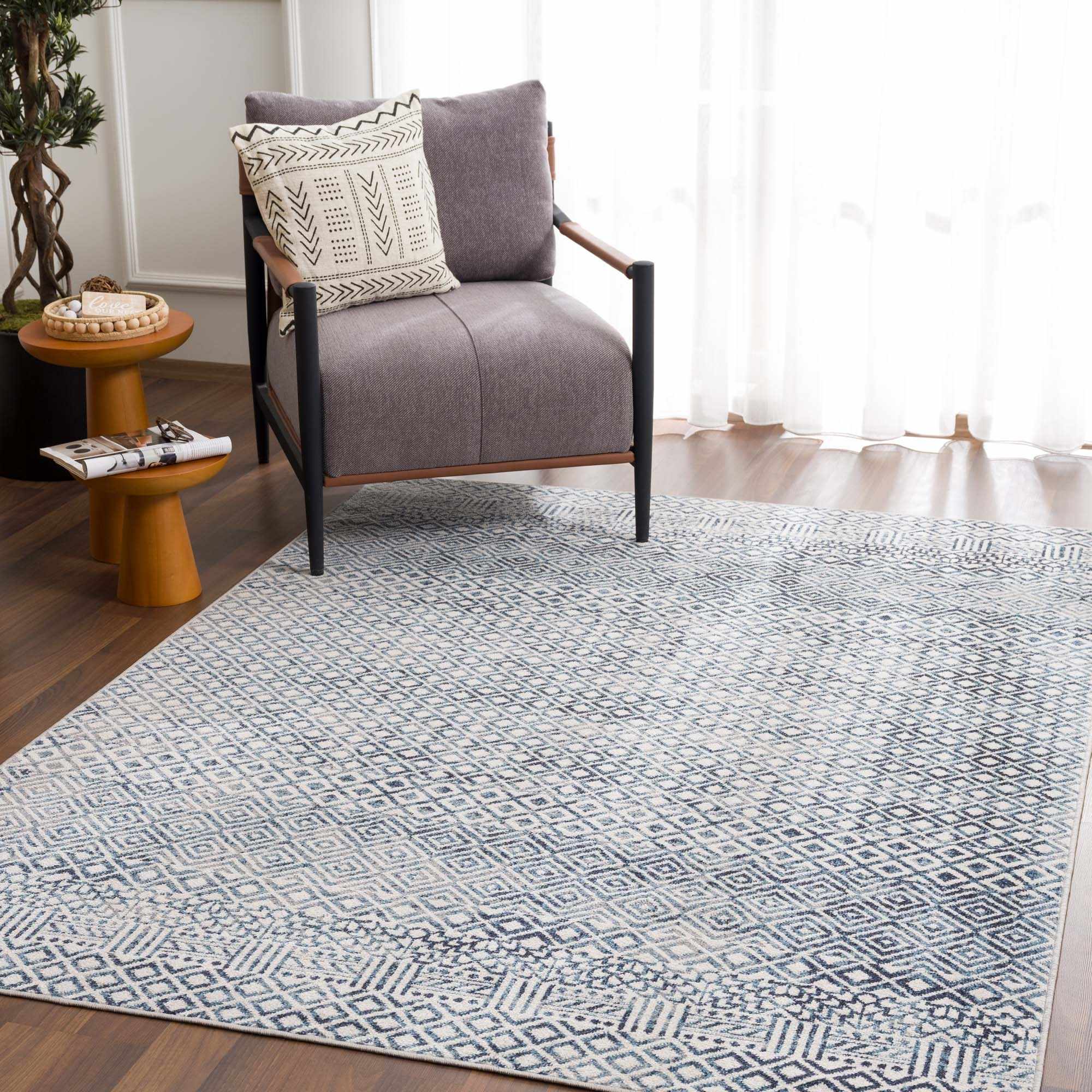 Askeaton Washable Area Rug - Image 4