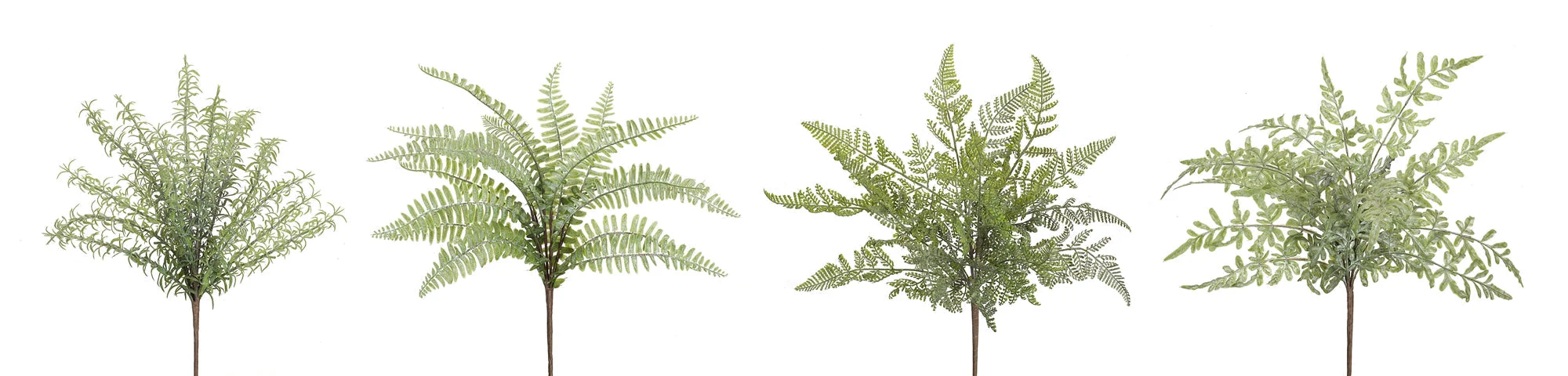 Assorted Fern Foliage Bush (Set of 12) - Image 2