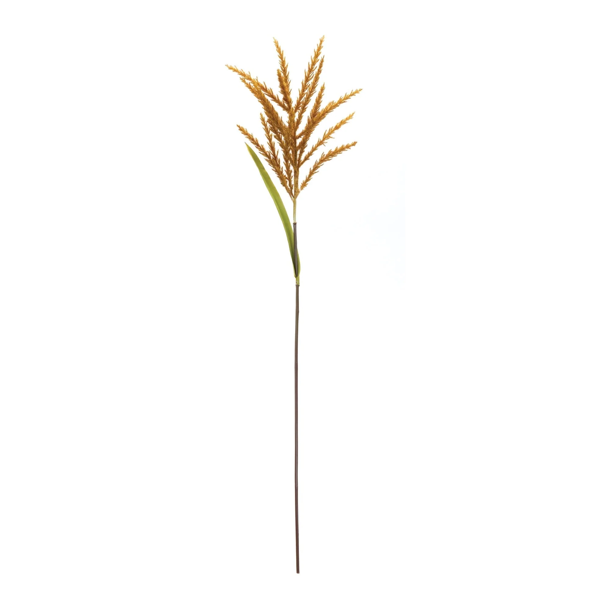 Astilbe stem (set of 12) - Image 2