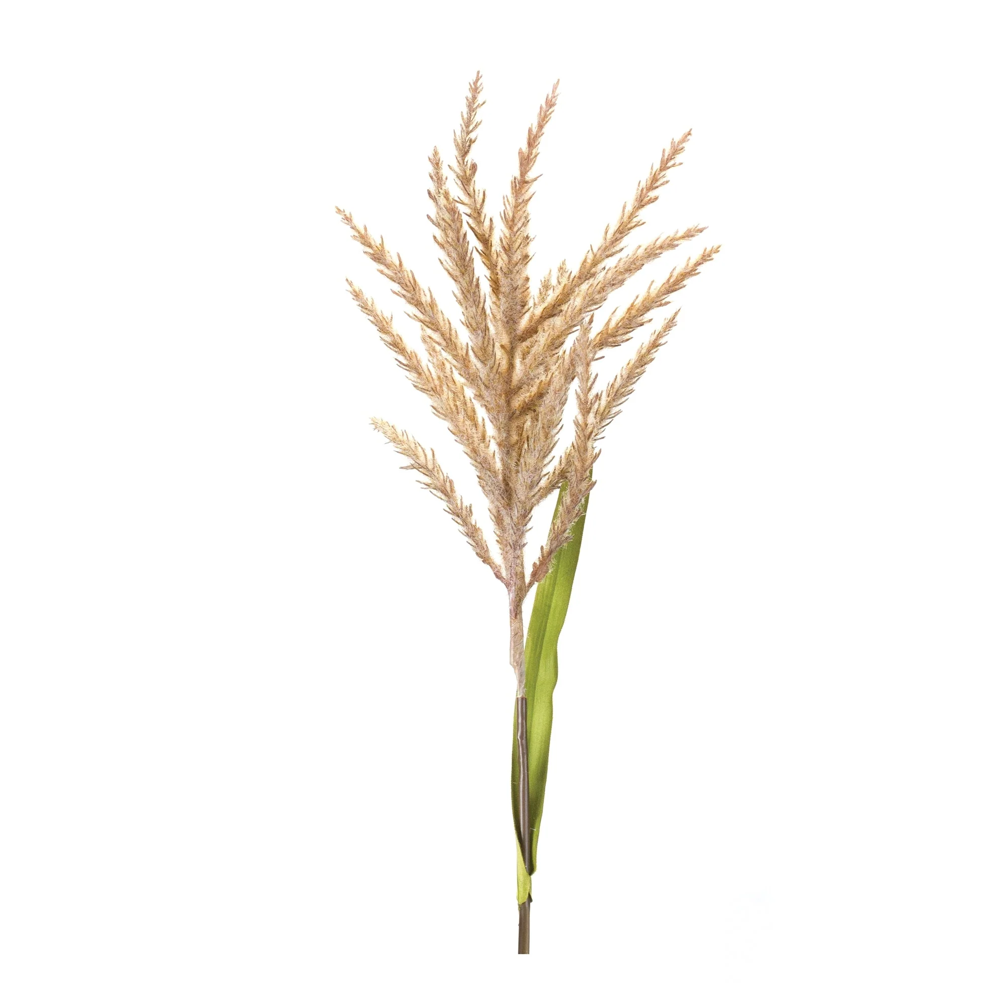 Astilbe stem (set of 12) - Image 3