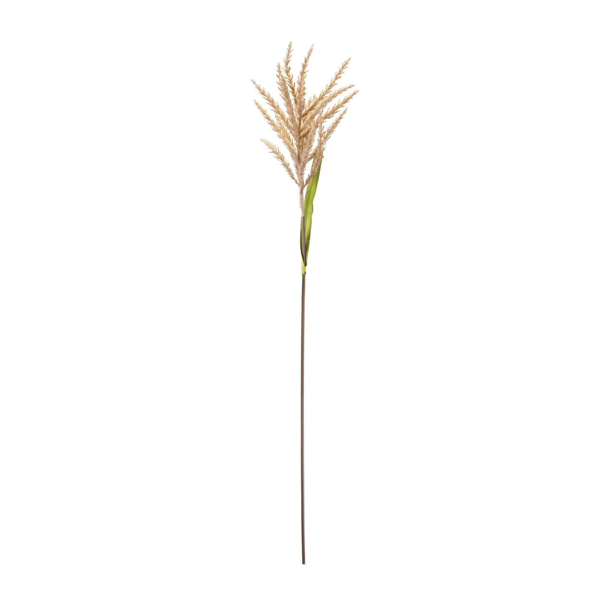 Astilbe stem (set of 12) - Image 4